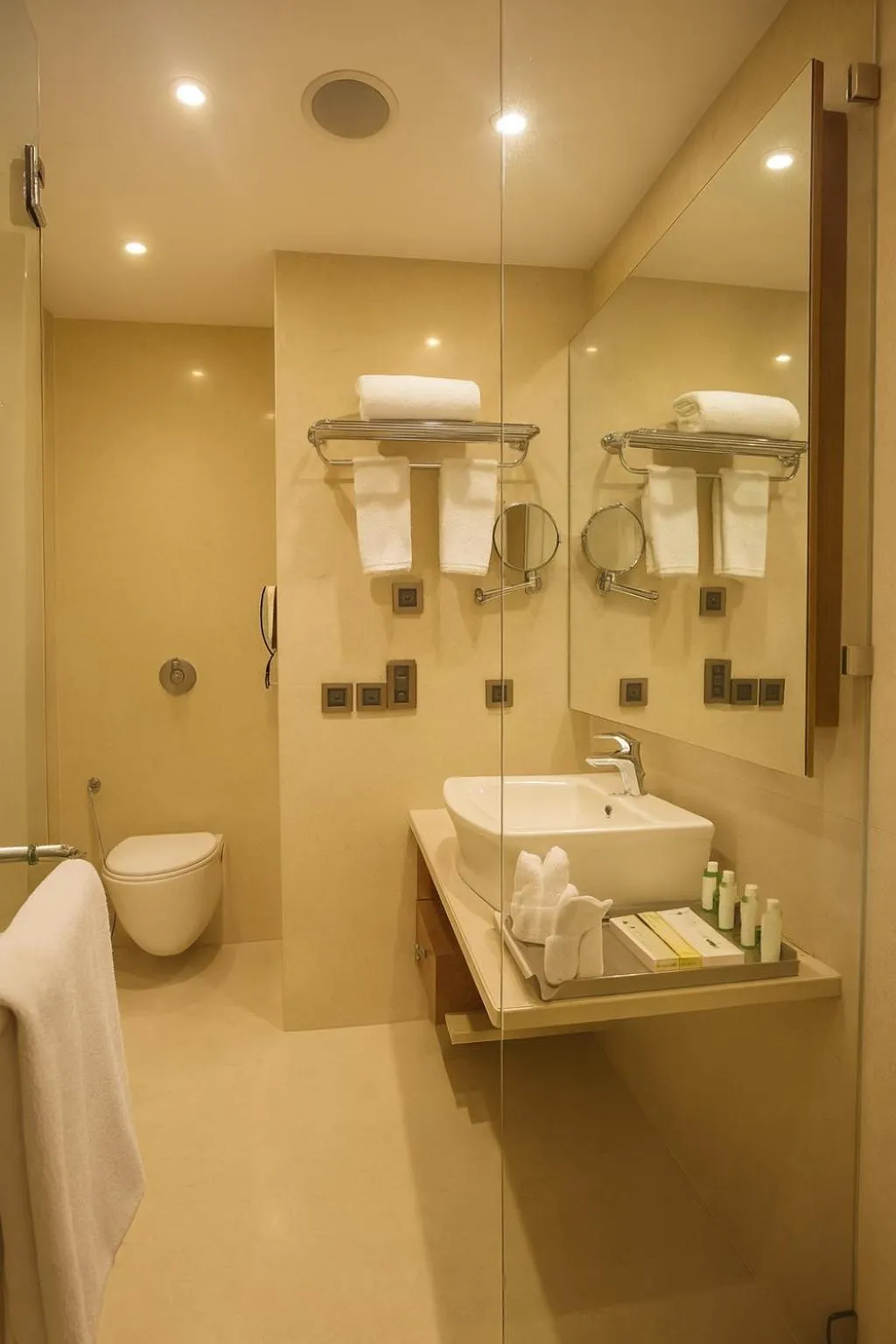 Bathroom in The Sky Imperial Thaltej