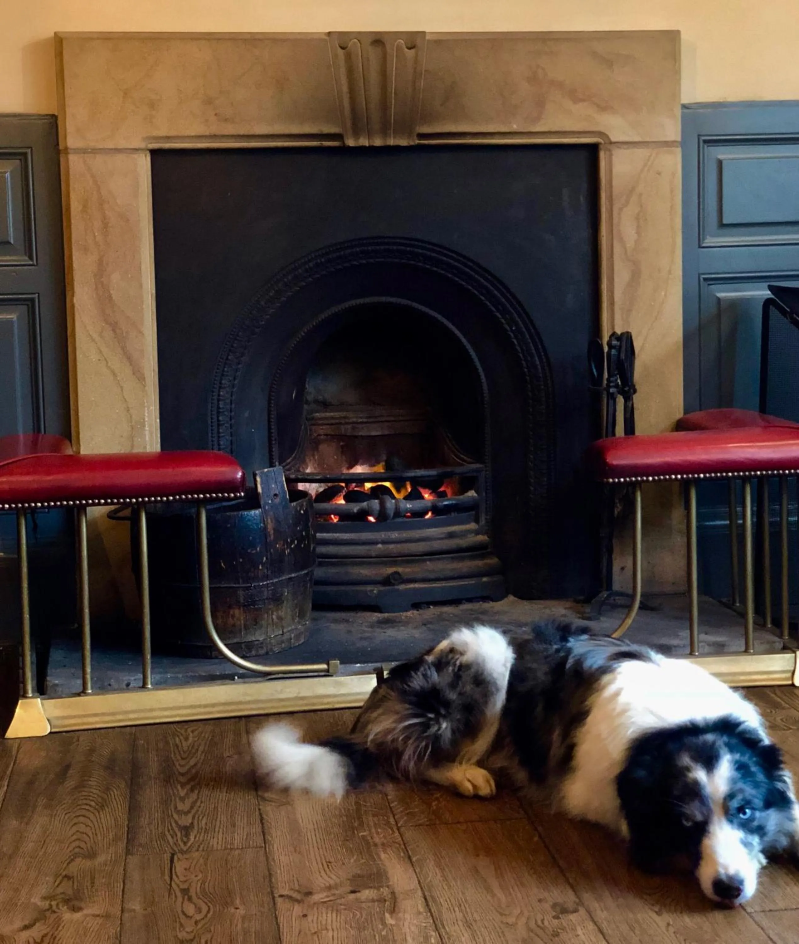 Pets in The Wheatsheaf at Beetham