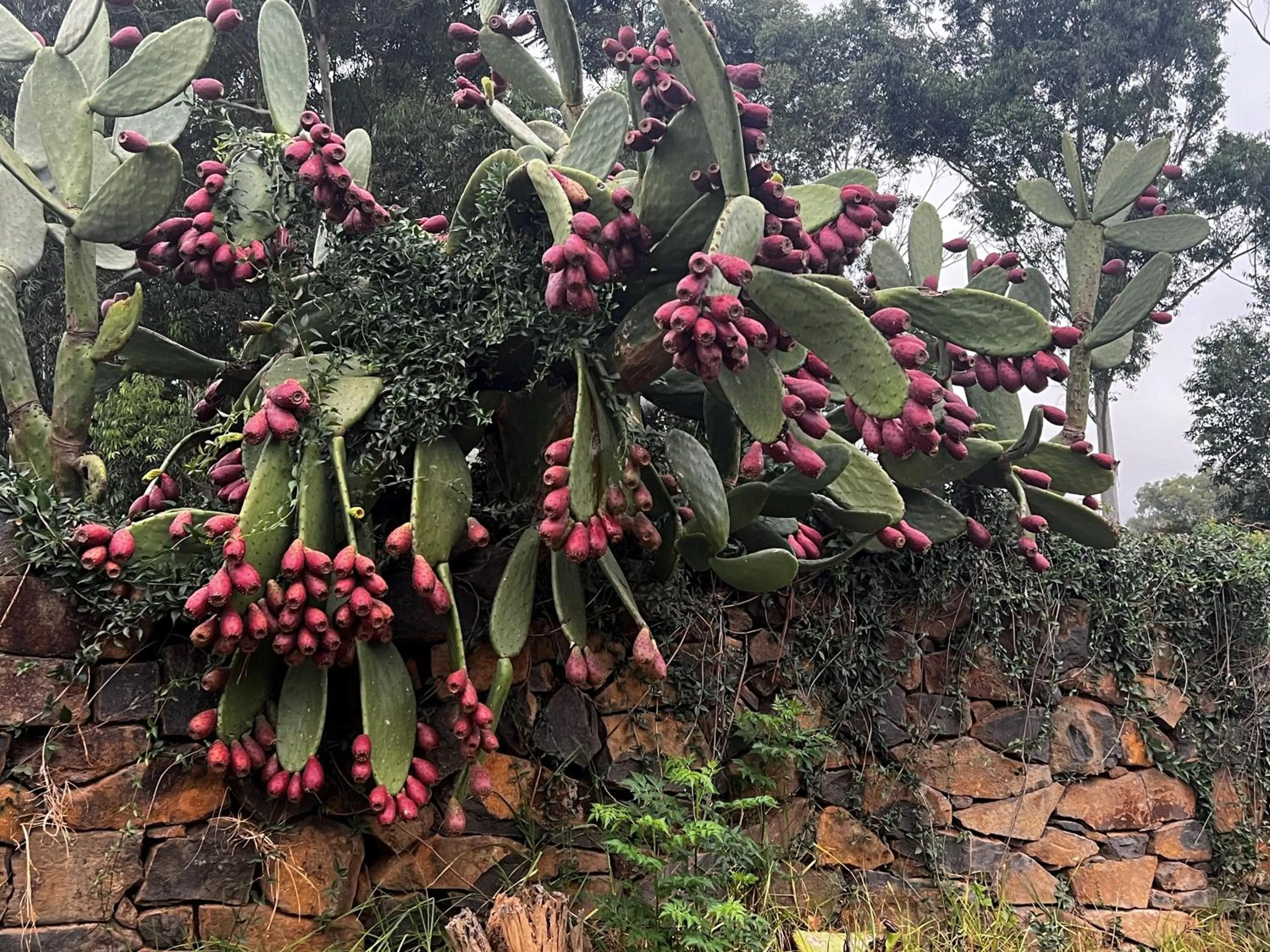 Natural landscape in Wyford Farm