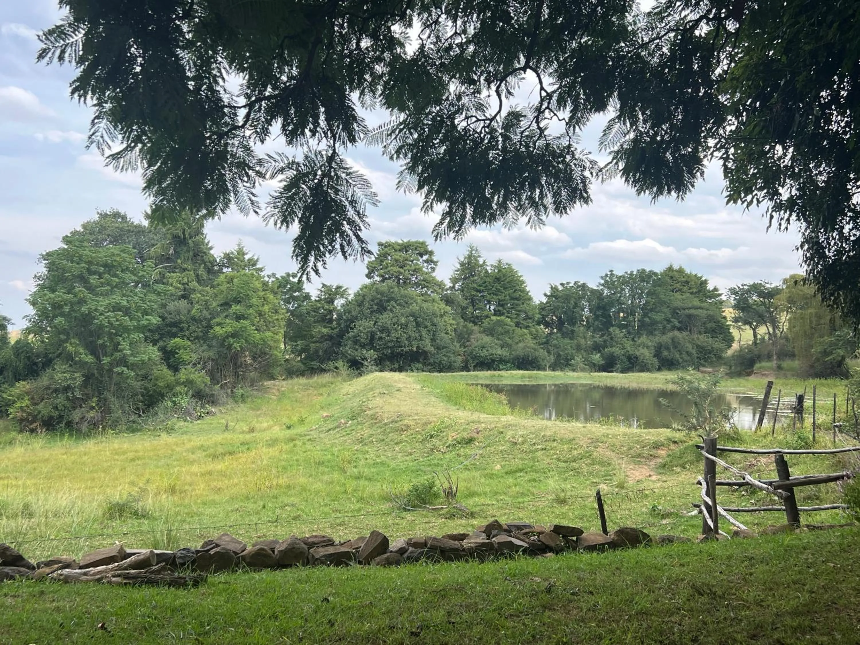 Natural landscape in Wyford Farm