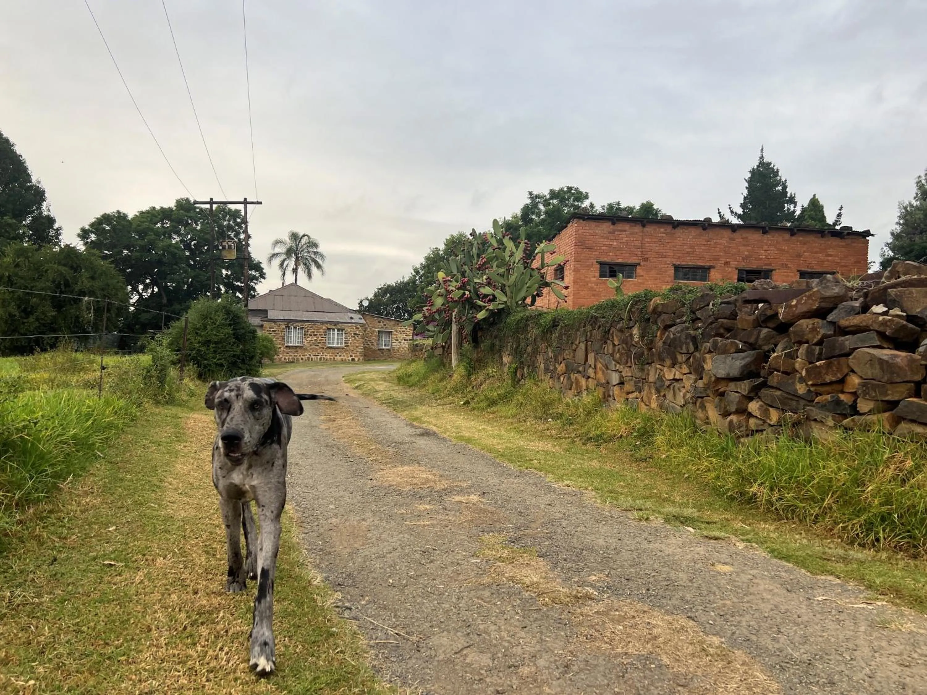 Natural landscape in Wyford Farm