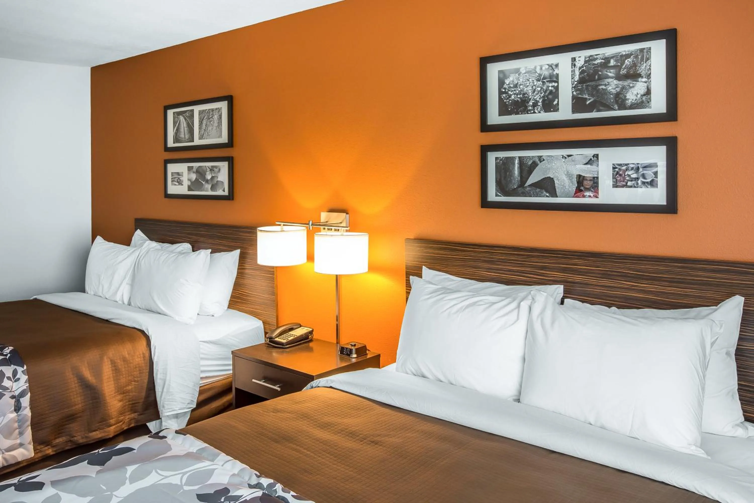 Photo of the whole room, Bed in Sleep Inn Cartersville