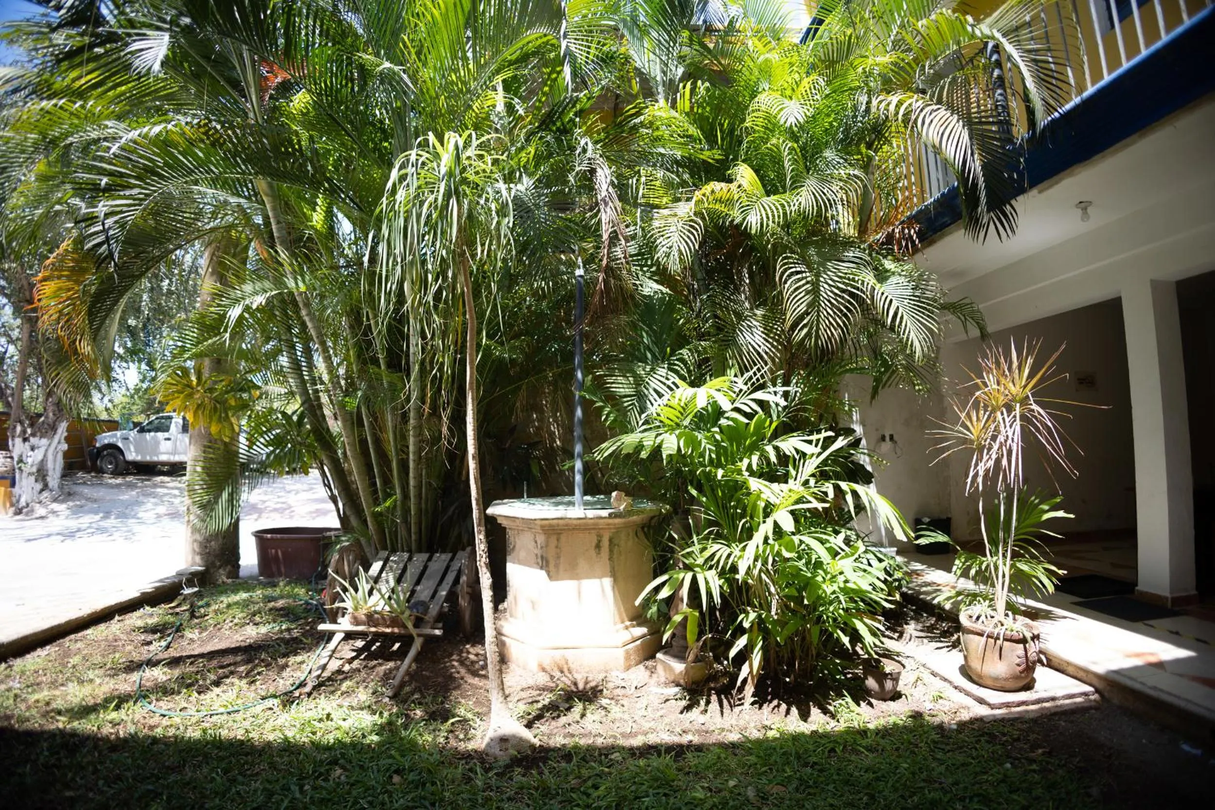 Garden in Nicte Ha Campeche