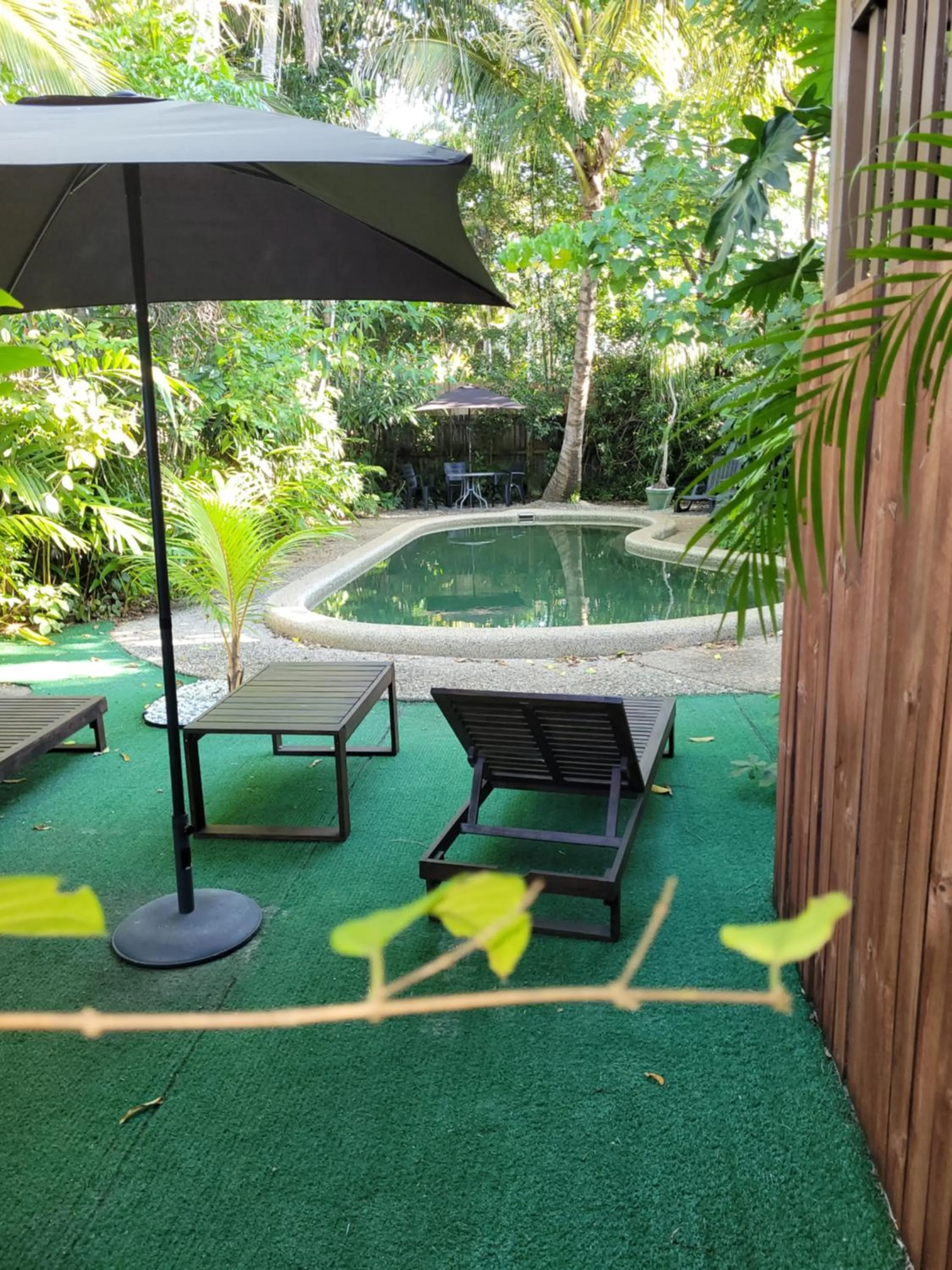 Garden in Travellers Paradise