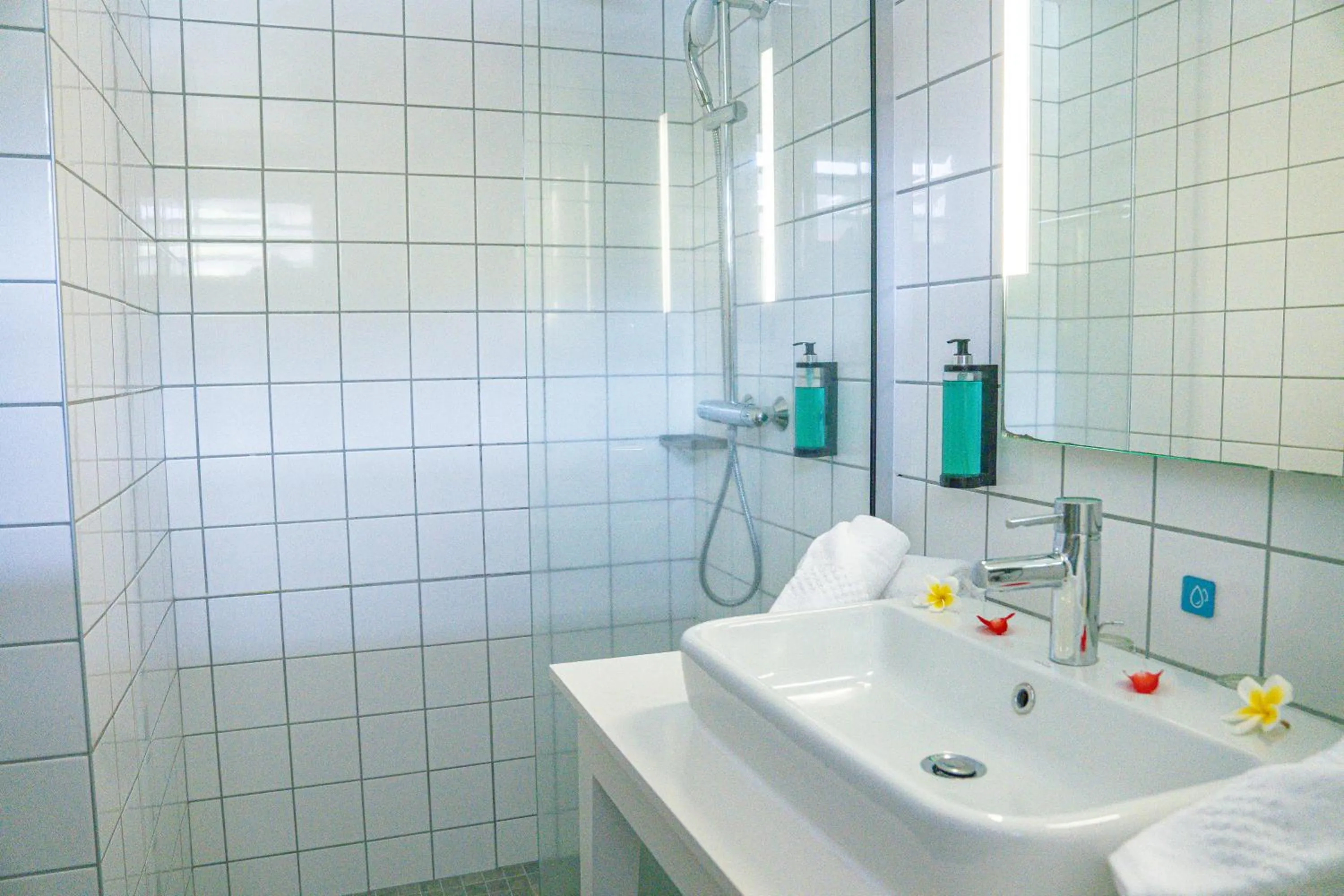 Shower in Dina Morgabine Saint Gilles