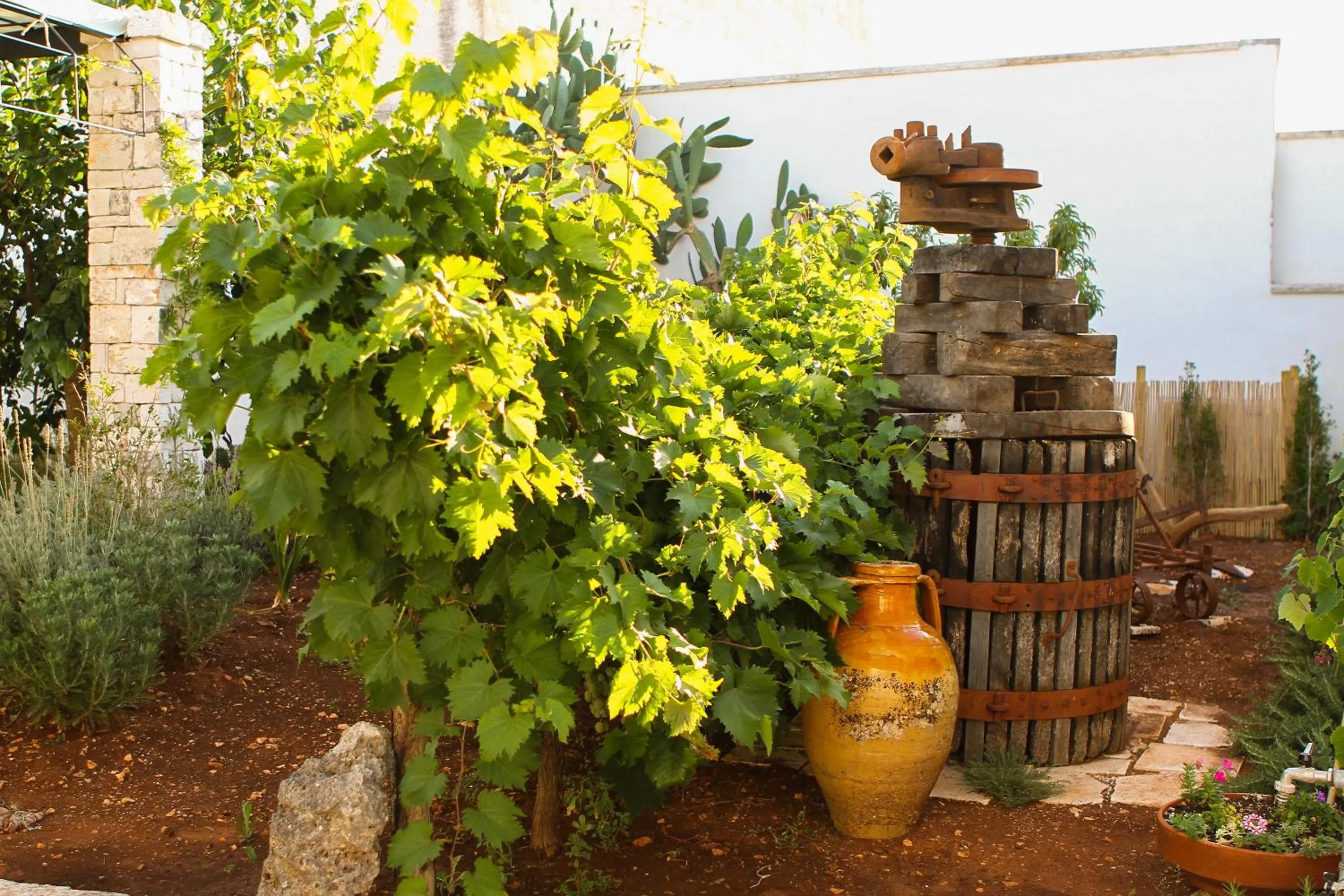 Garden in Corte Trullo Sovrano B&B