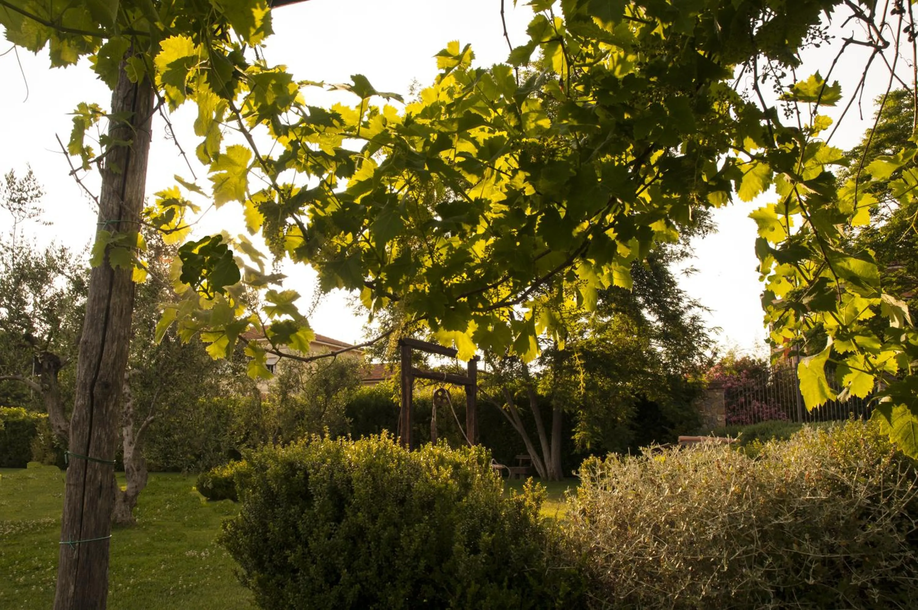 Garden in Podere Turicchio