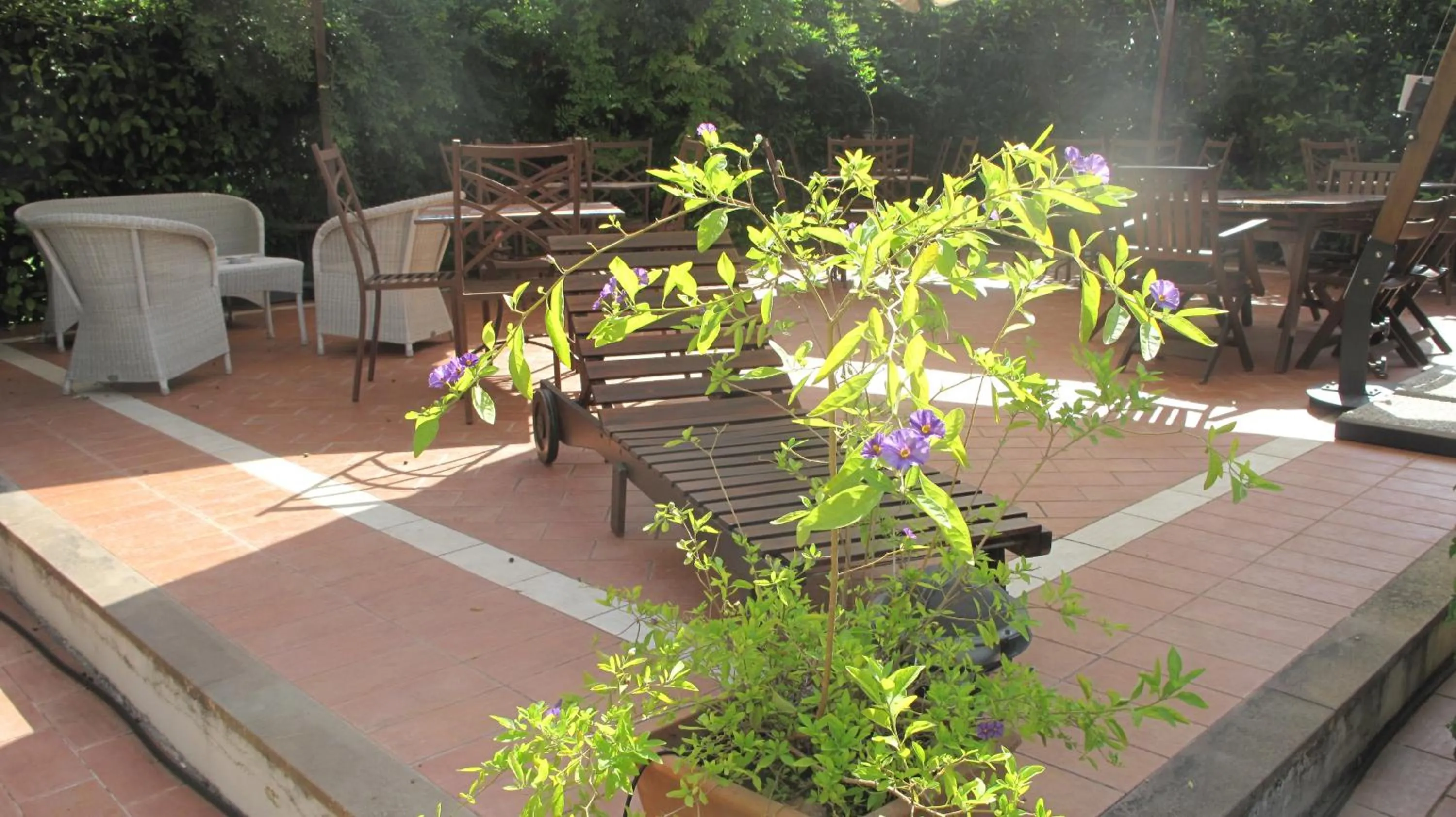 Garden in Podere Turicchio