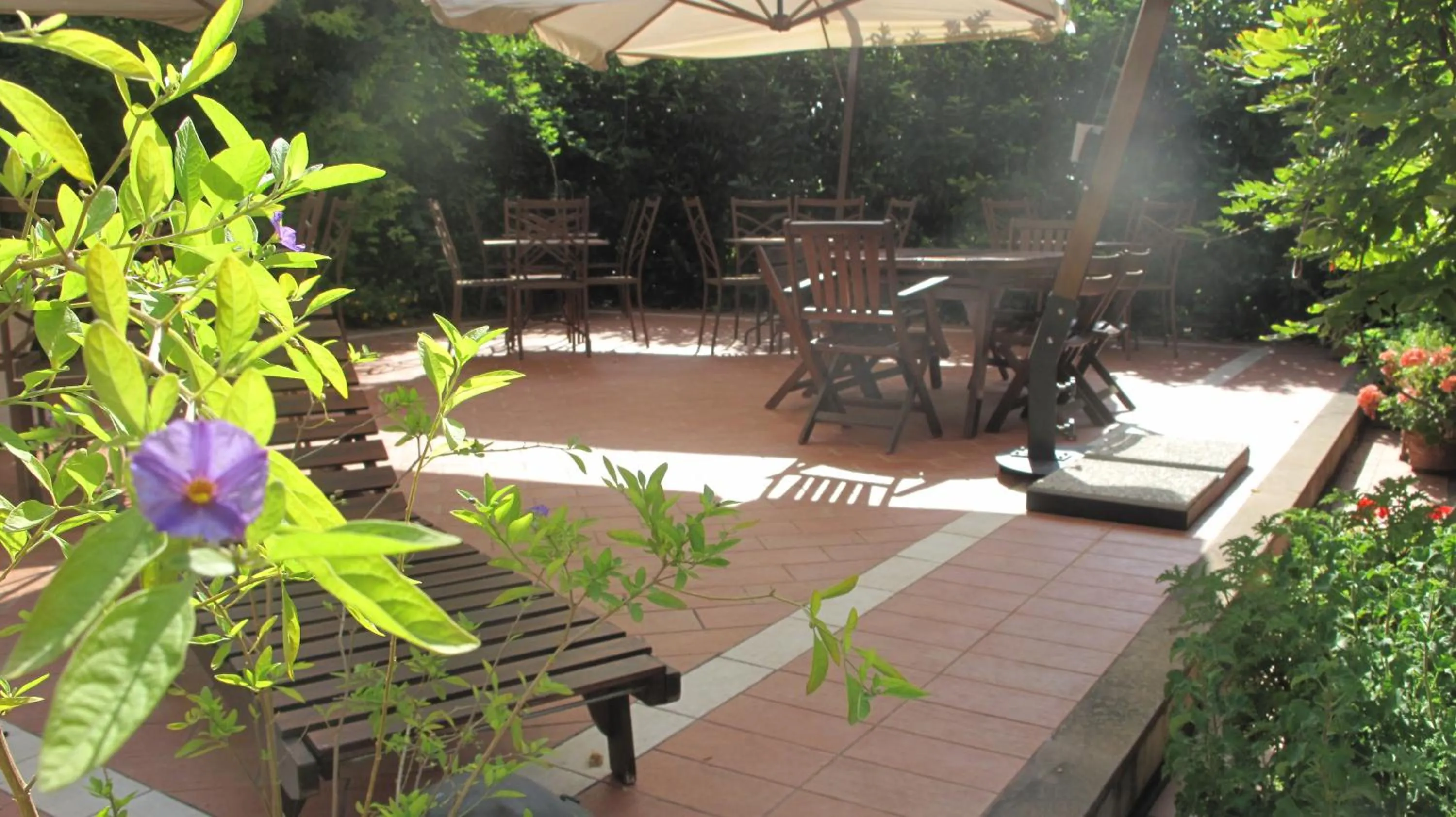 Garden in Podere Turicchio