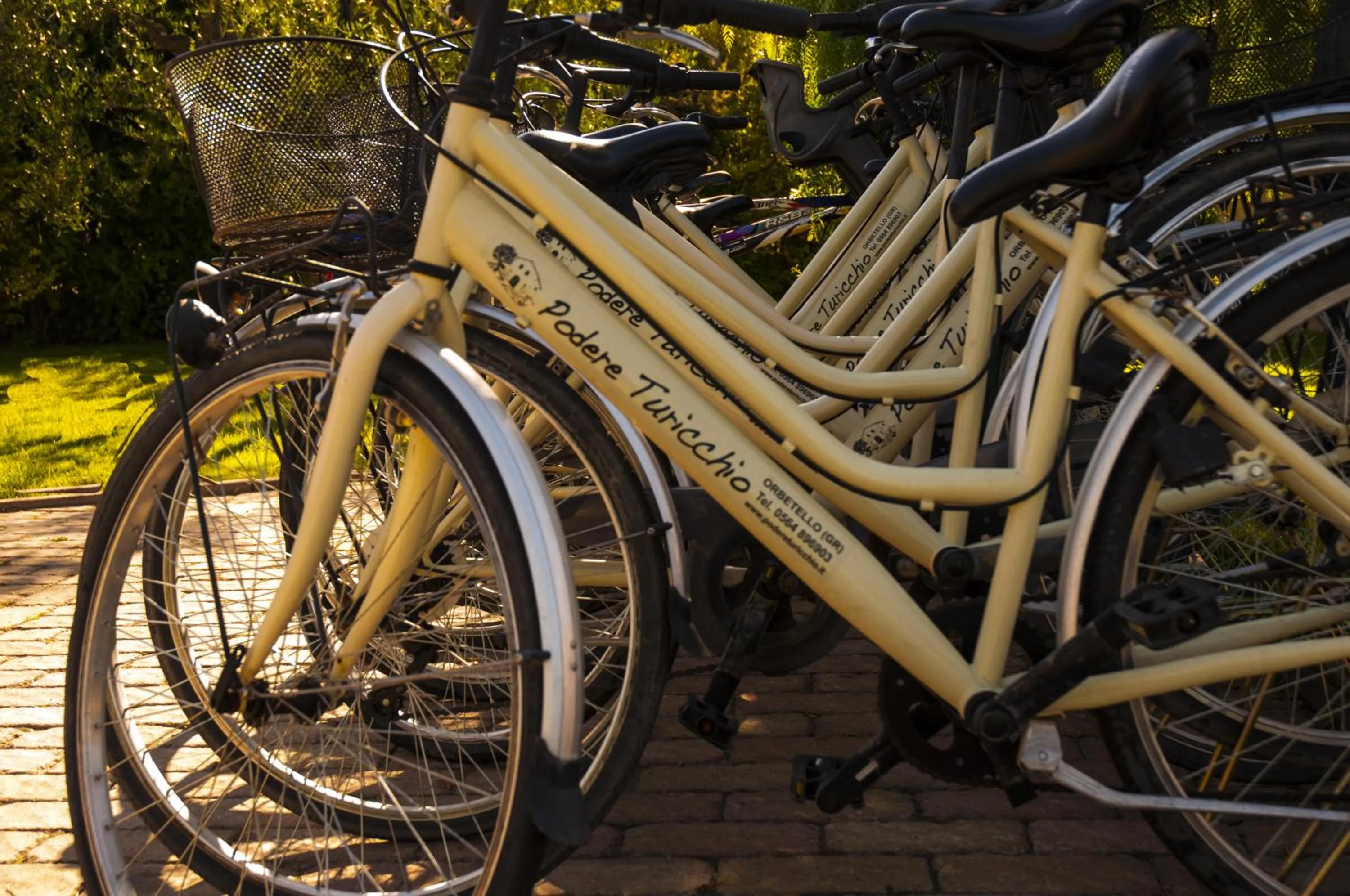 Cycling in Podere Turicchio