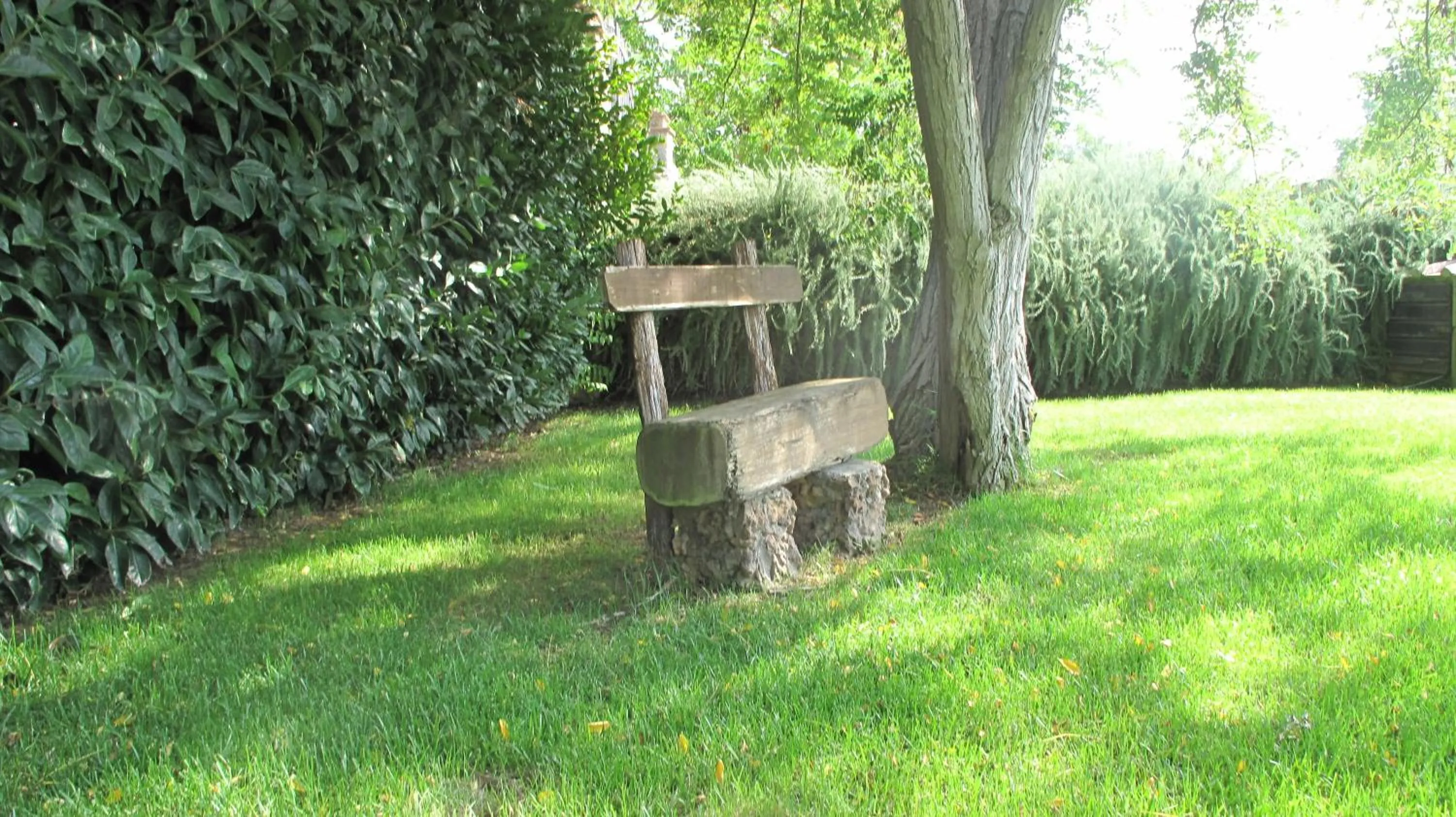 Garden in Podere Turicchio