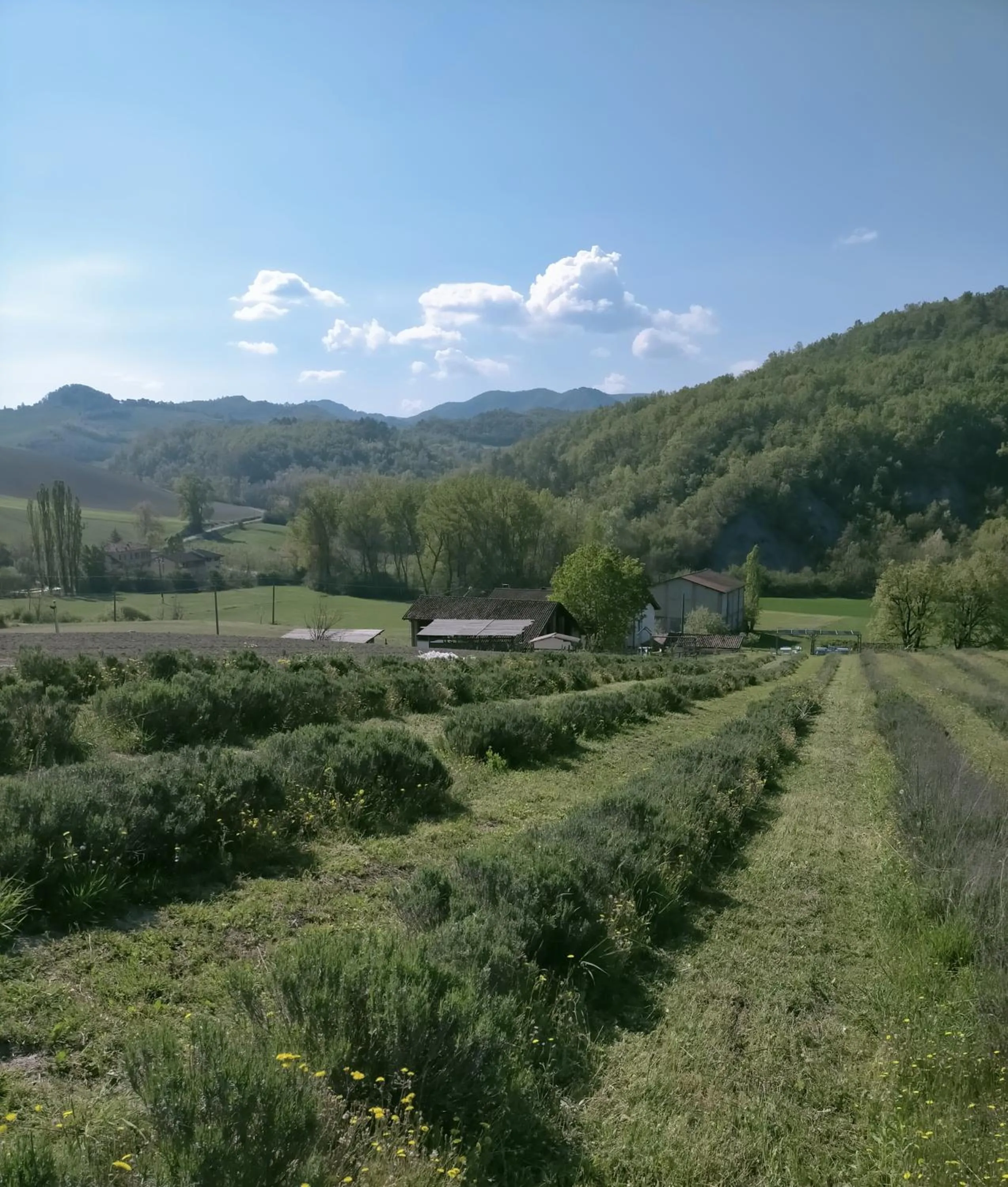 La Locanda Del Molino