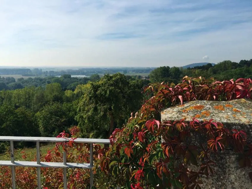 Balcony/Terrace in Hotel Schloss Leitheim