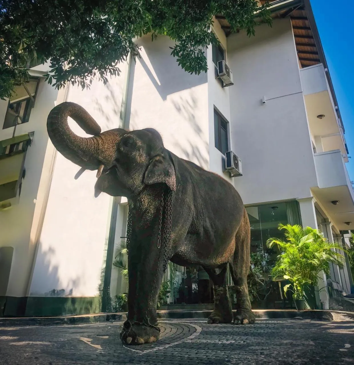 Game Room in Hotel Yo Kandy