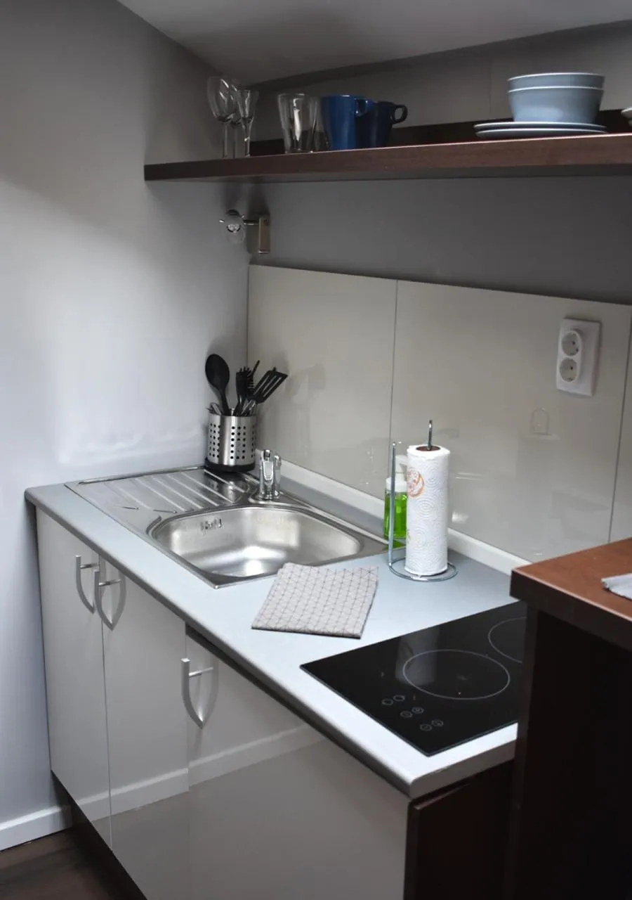 Kitchen or kitchenette in Apartmani Zrenjanin