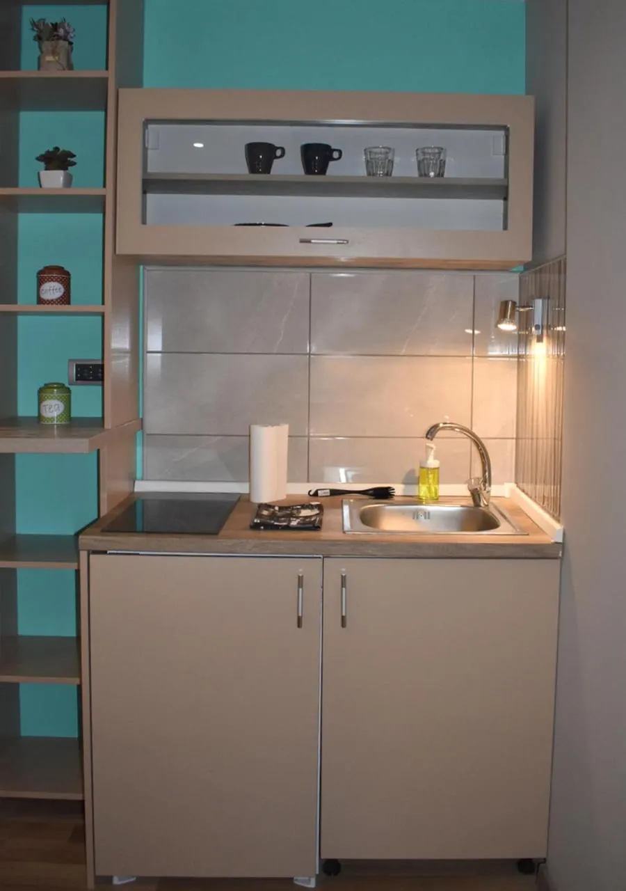 Kitchen or kitchenette in Apartmani Zrenjanin