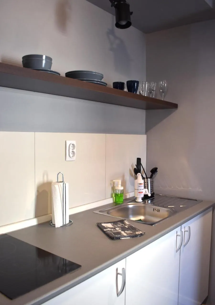 Kitchen or kitchenette in Apartmani Zrenjanin