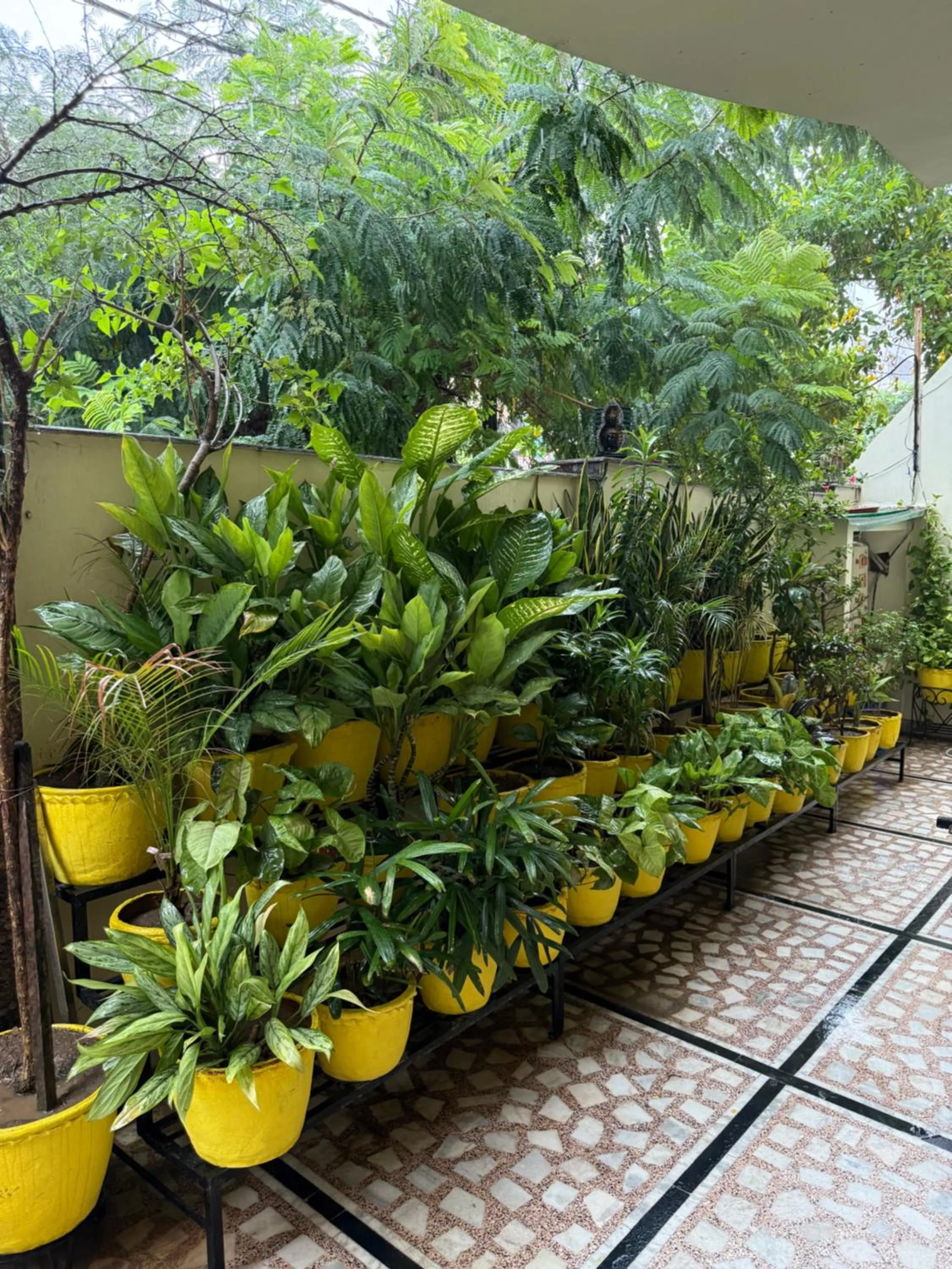 Spring in Madhuraj Villa Homestay