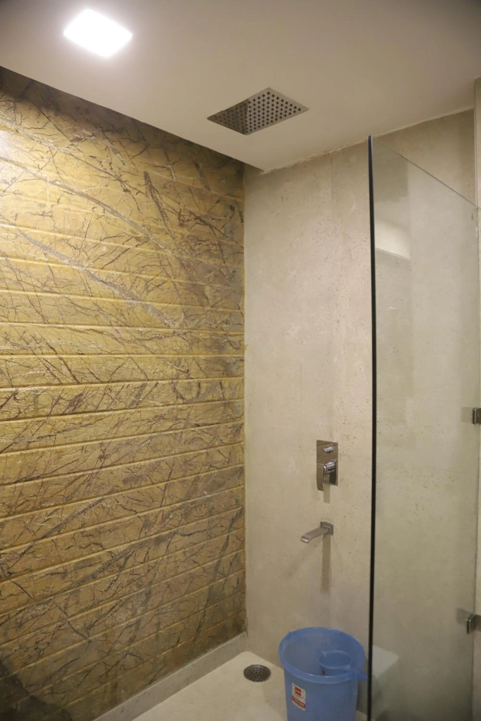 Shower in The Gandhi International