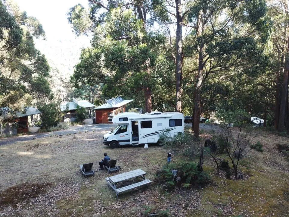 group of guests in Base Camp Tasmania