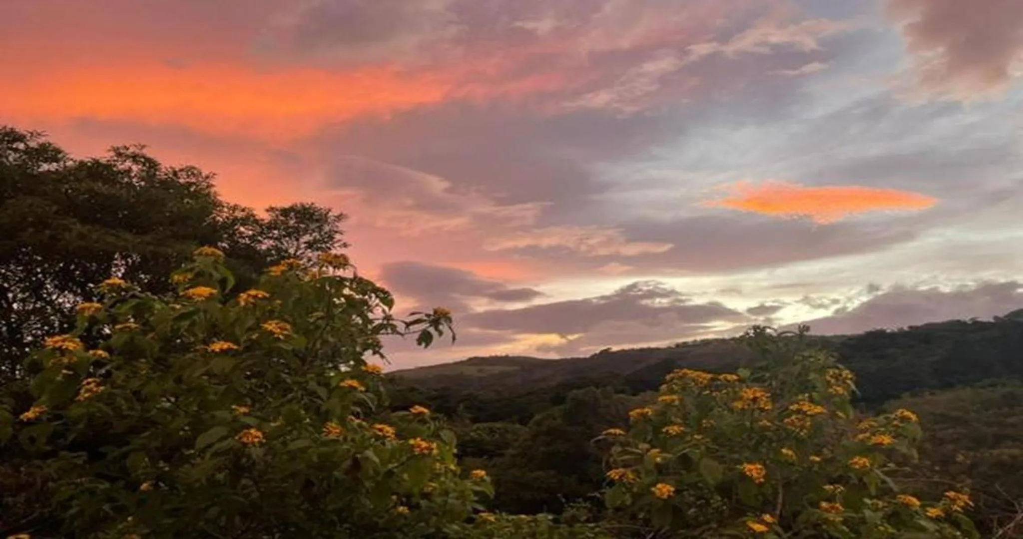 Mountain view in Las Marias Monteverde - Mountain View Cottages & Gardens