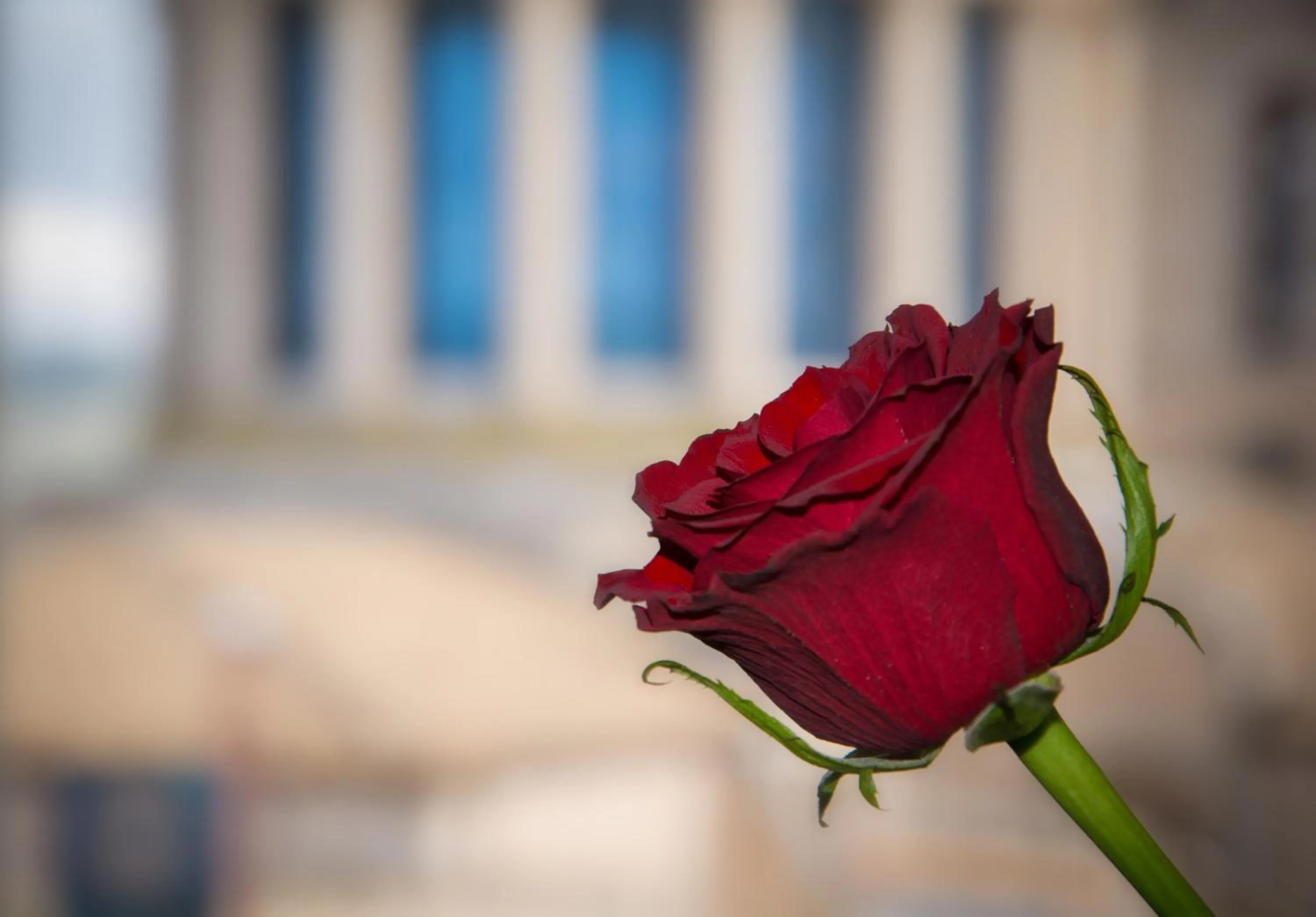 Decorative detail in Il Duomo Relais