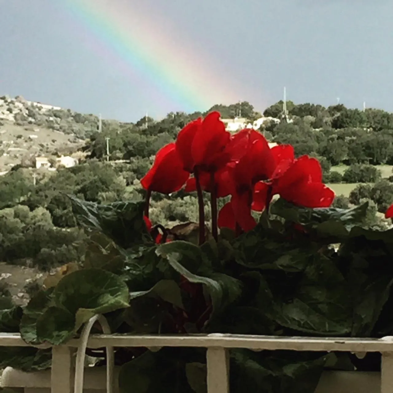 Mountain view in Il Duomo Relais