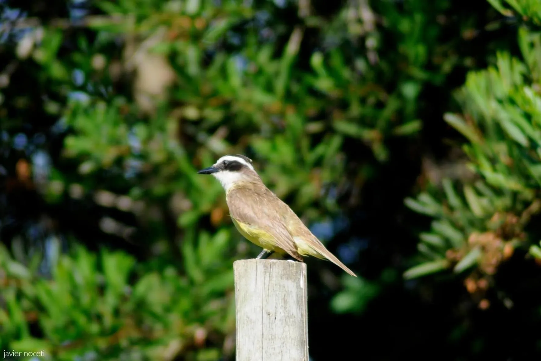 Bungalows Punta Colorada