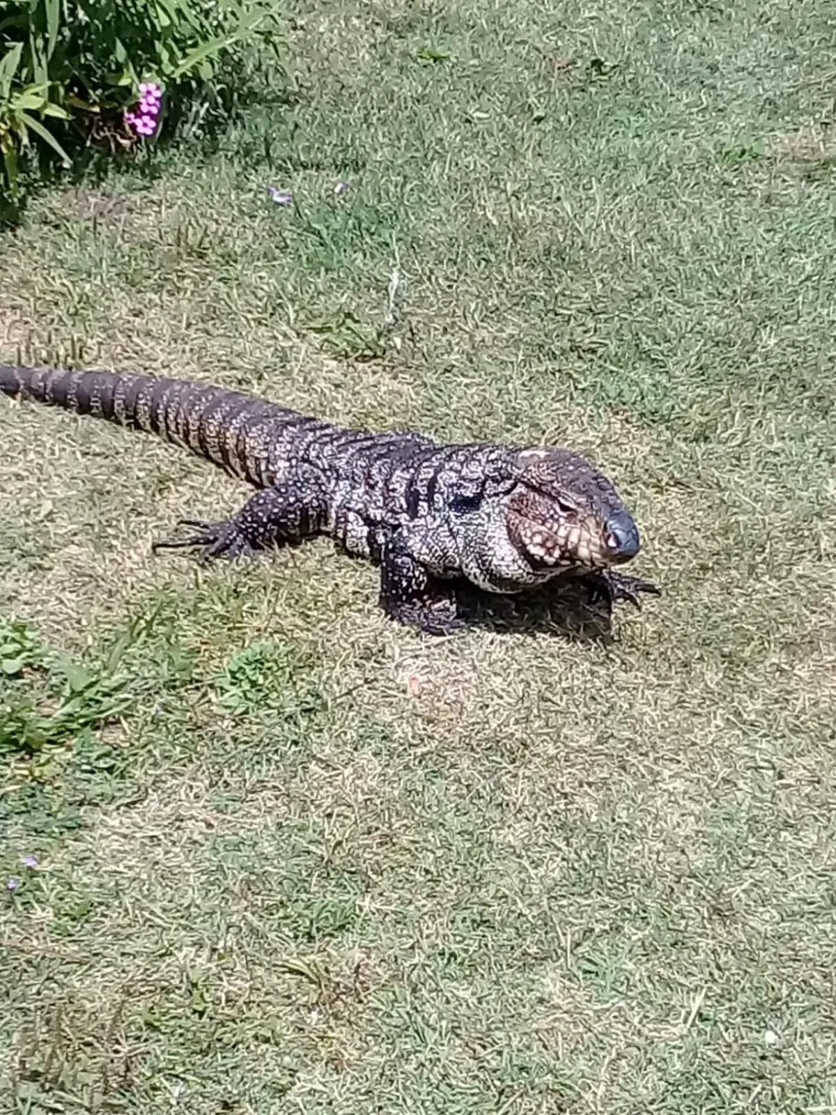 Bungalows Punta Colorada