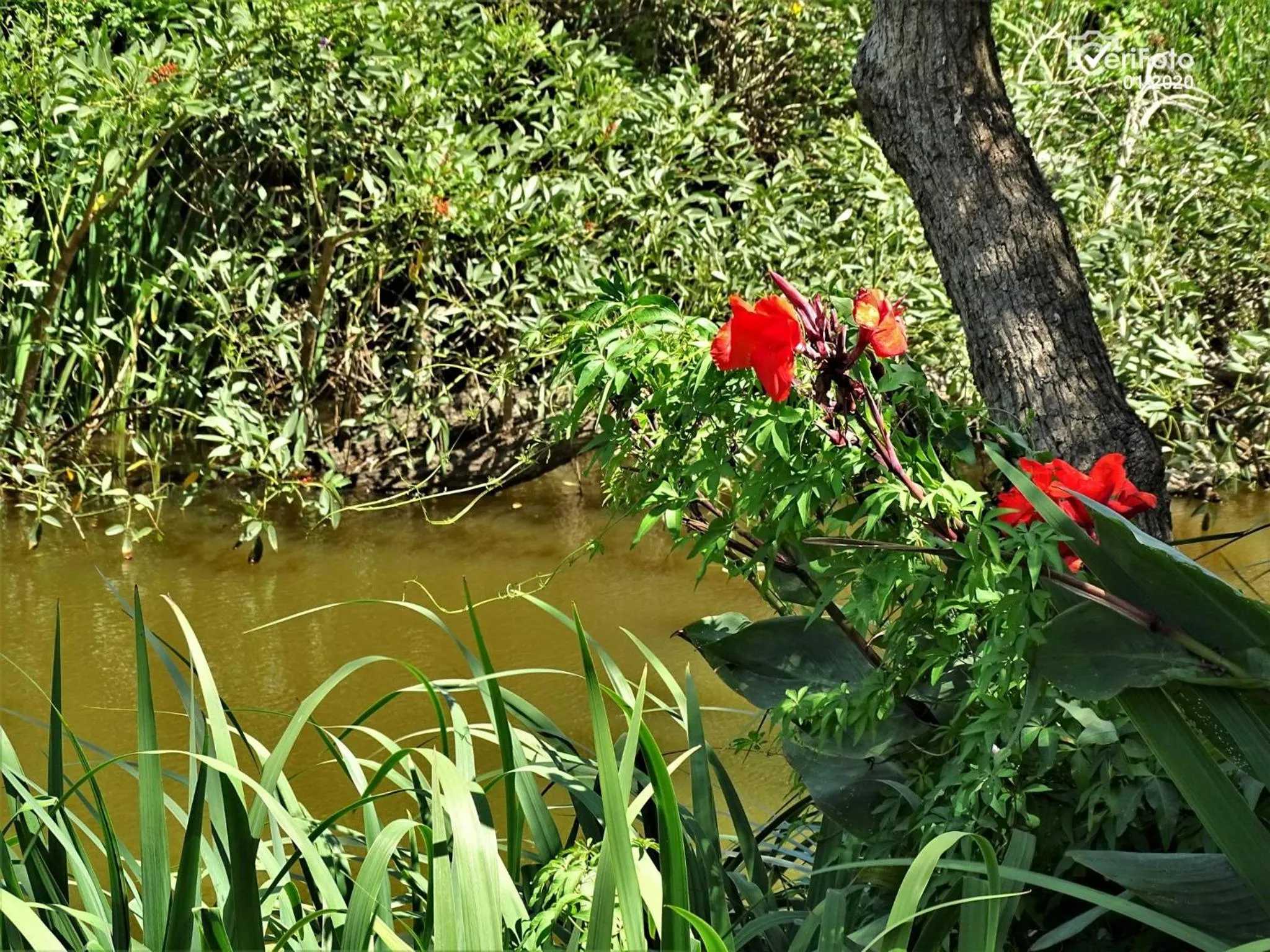 Bungalows Punta Colorada