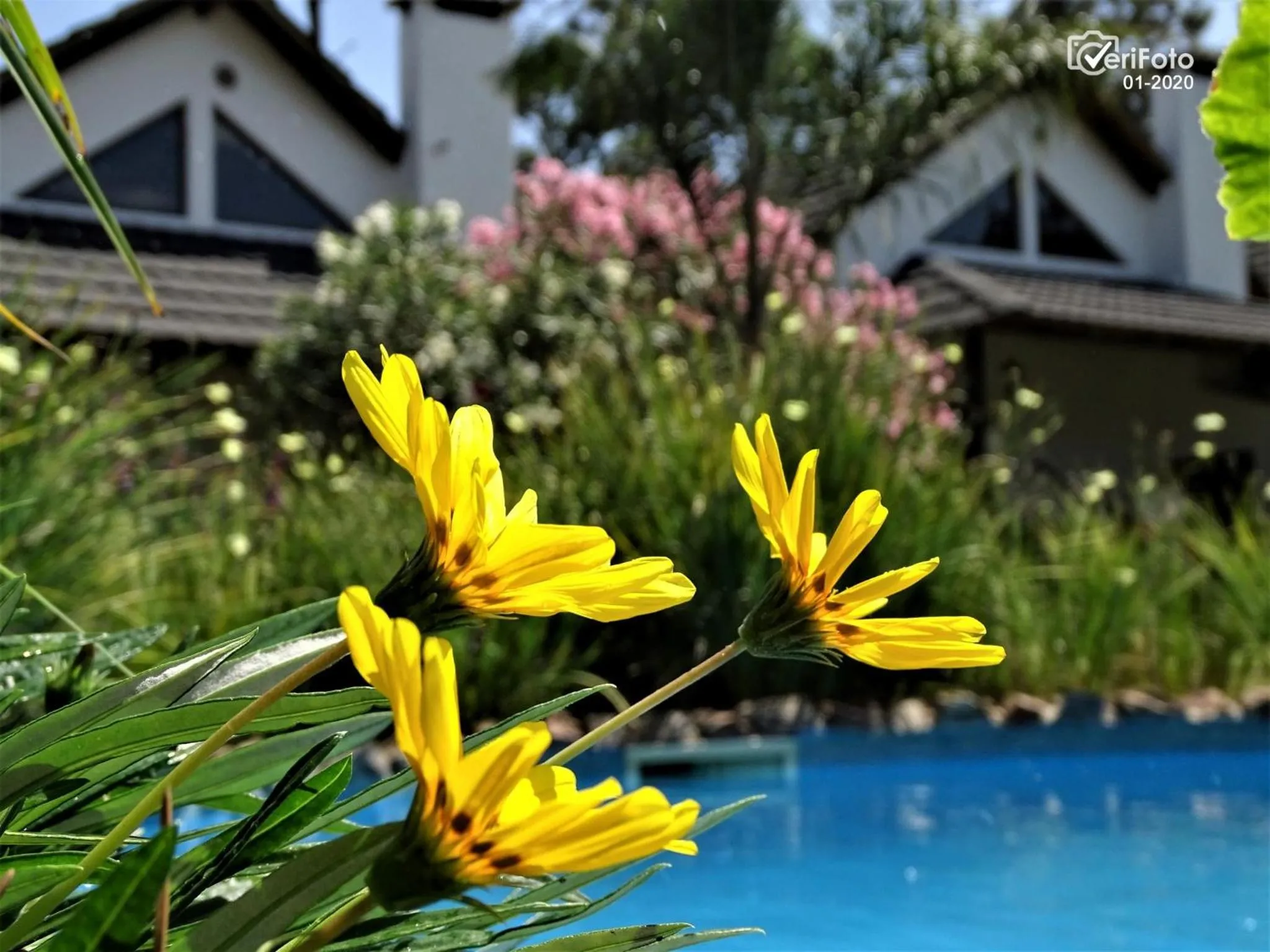 Bungalows Punta Colorada