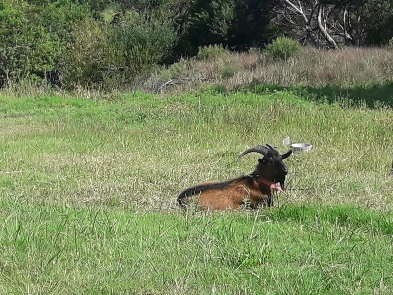 Bungalows Punta Colorada
