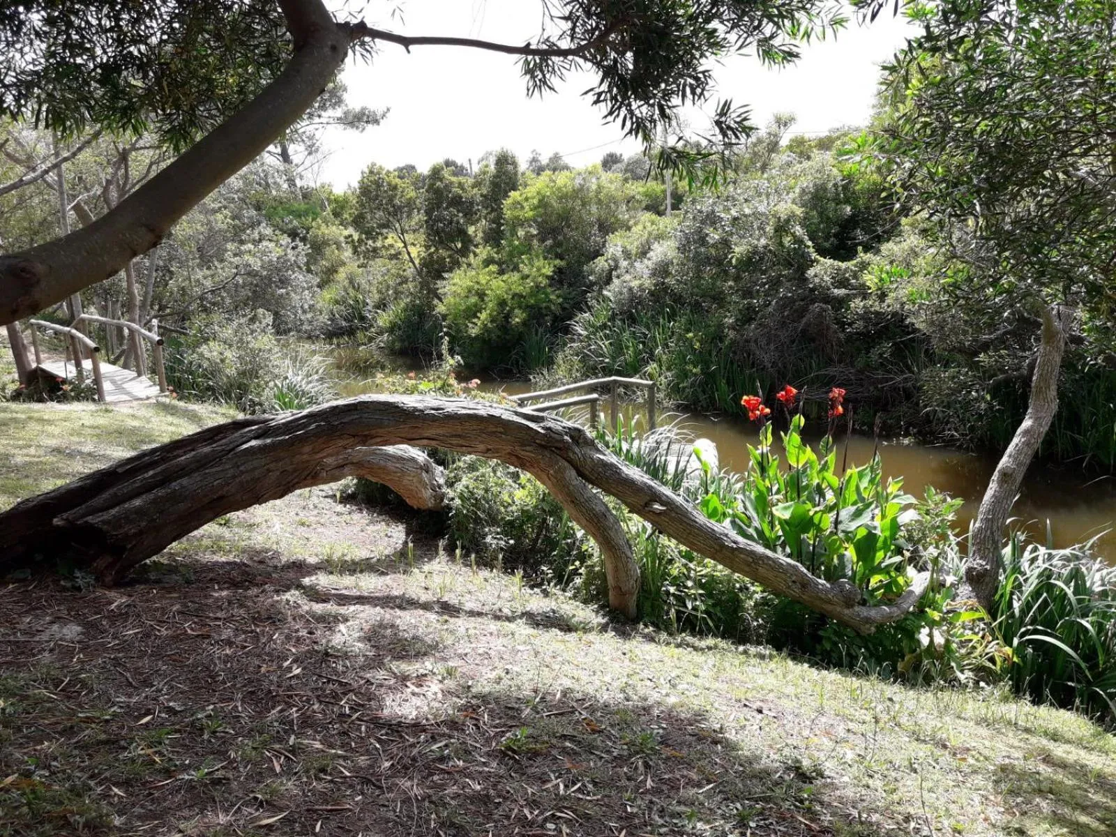 Bungalows Punta Colorada
