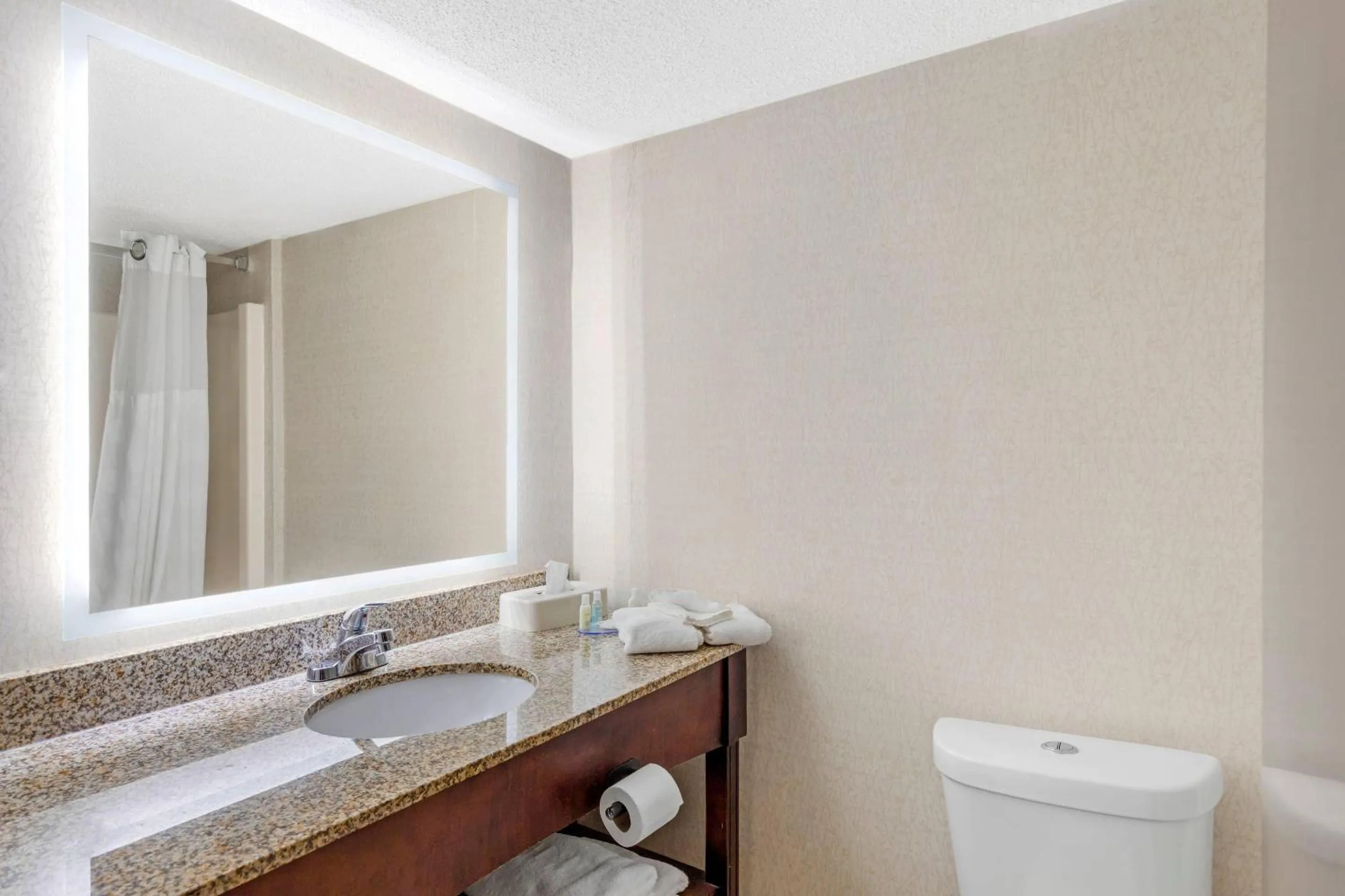 Bedroom in MainStay Suites Lansing West