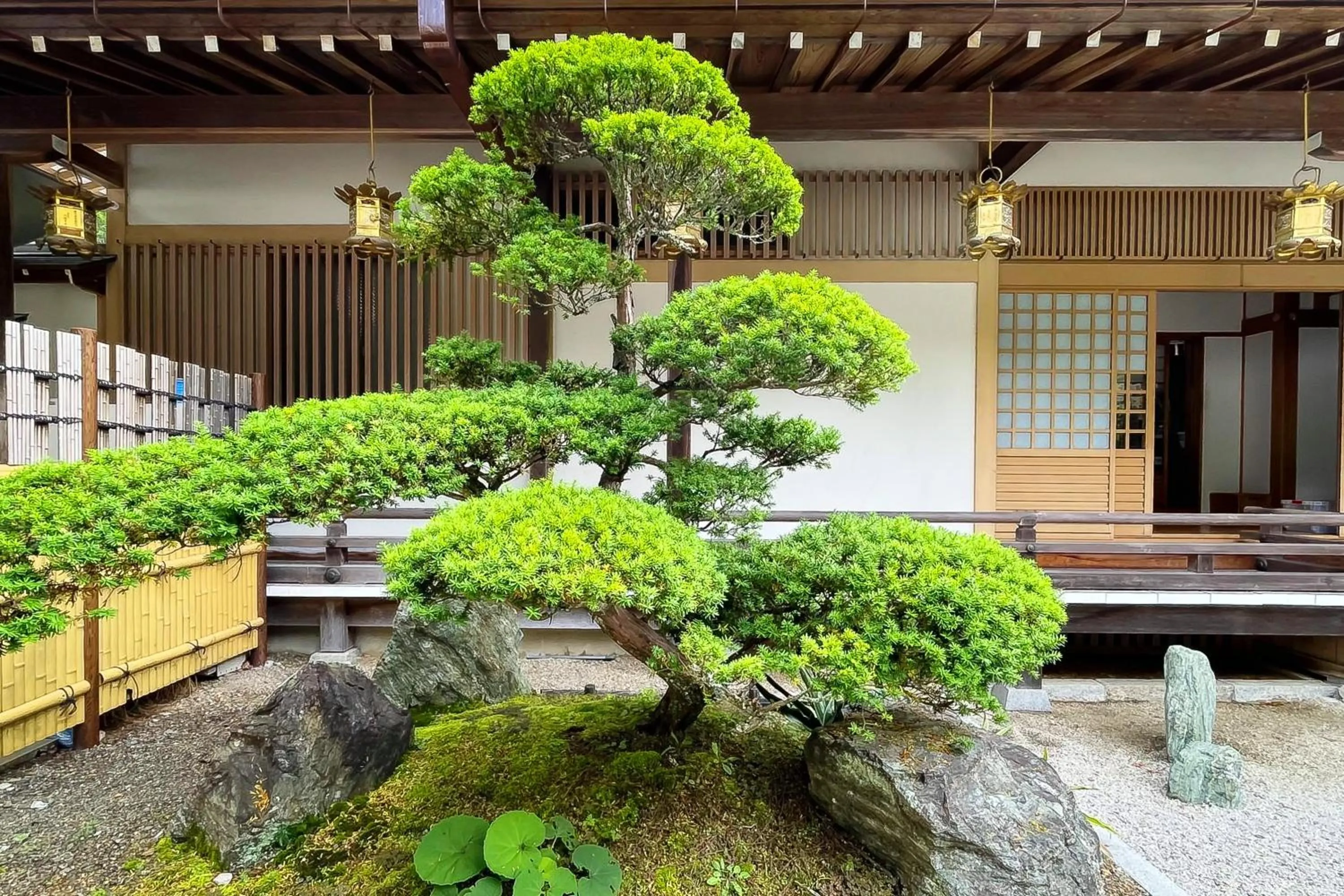 Garden in 高野山 宿坊 総持院 -Koyasan Shukubo Sojiin-