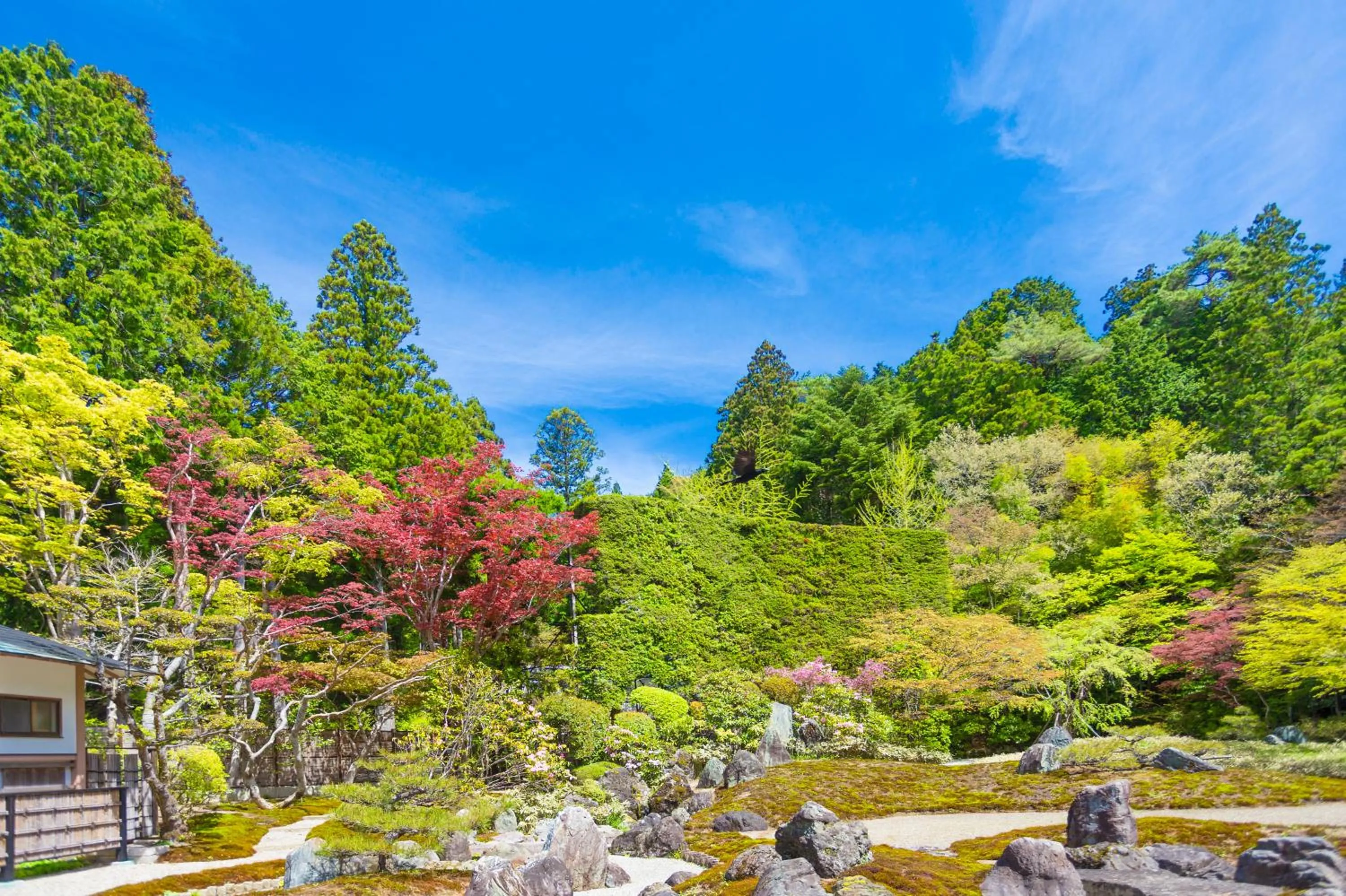Garden in 高野山 宿坊 総持院 -Koyasan Shukubo Sojiin-