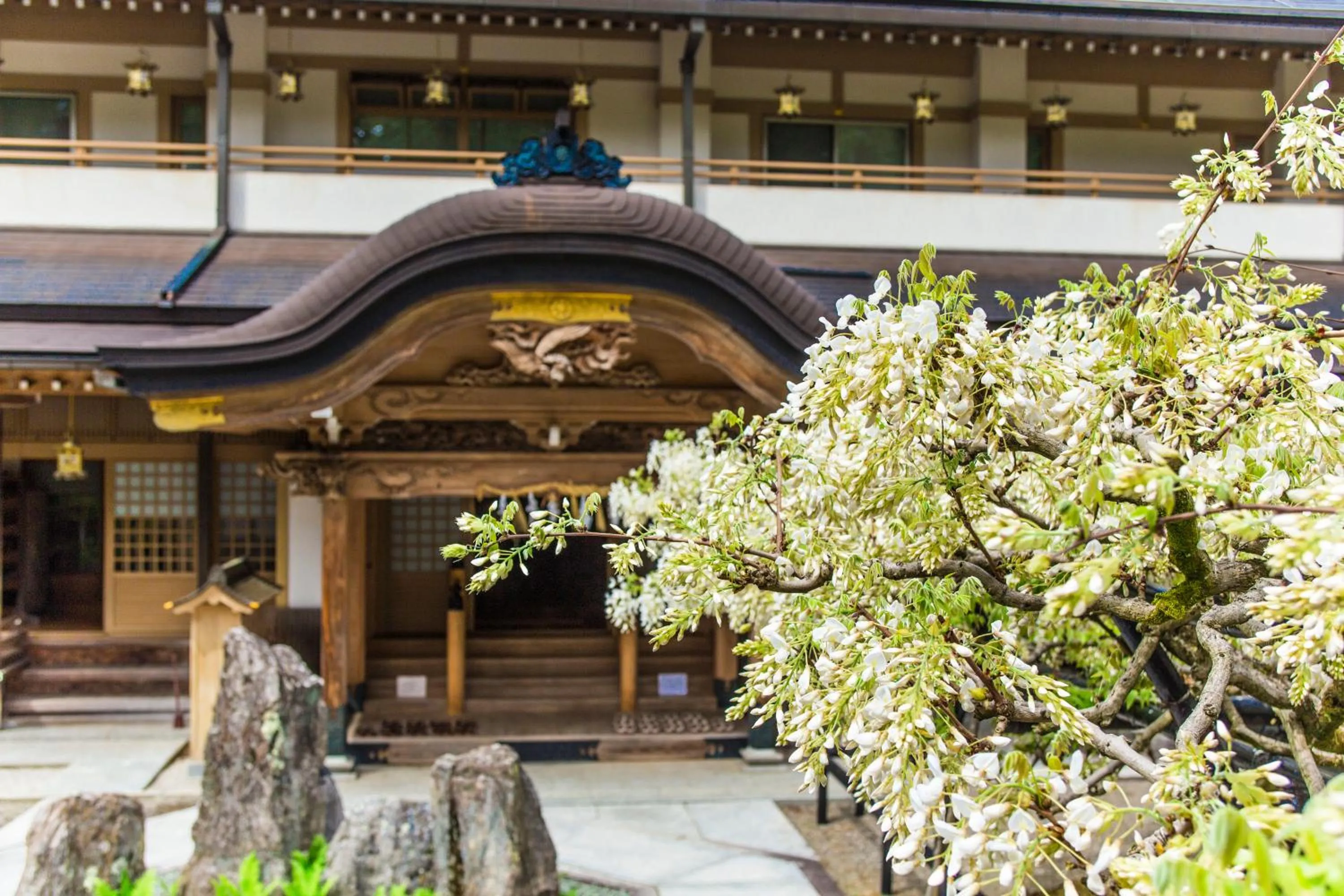 Property building in 高野山 宿坊 総持院 -Koyasan Shukubo Sojiin-