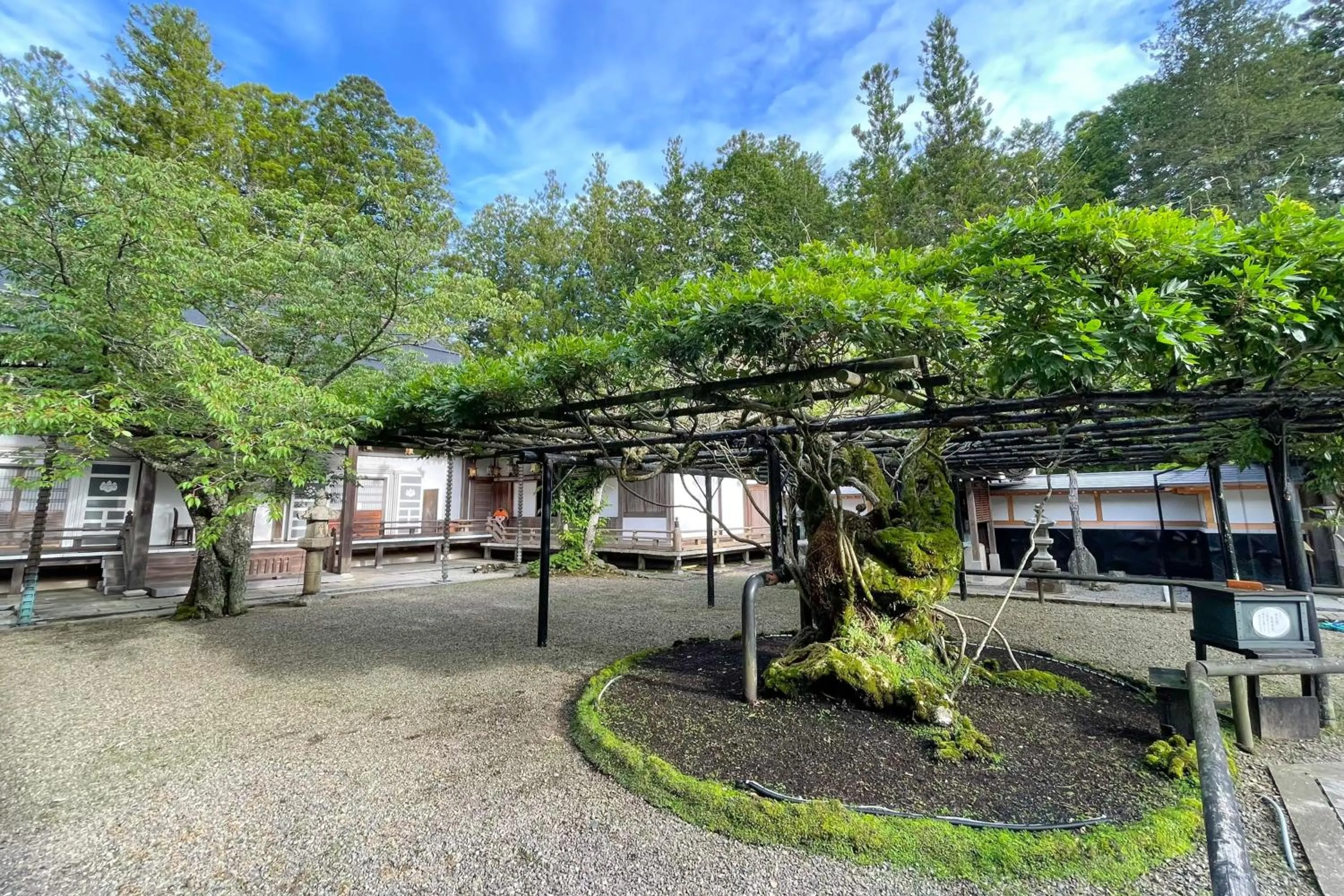 Day in 高野山 宿坊 総持院 -Koyasan Shukubo Sojiin-