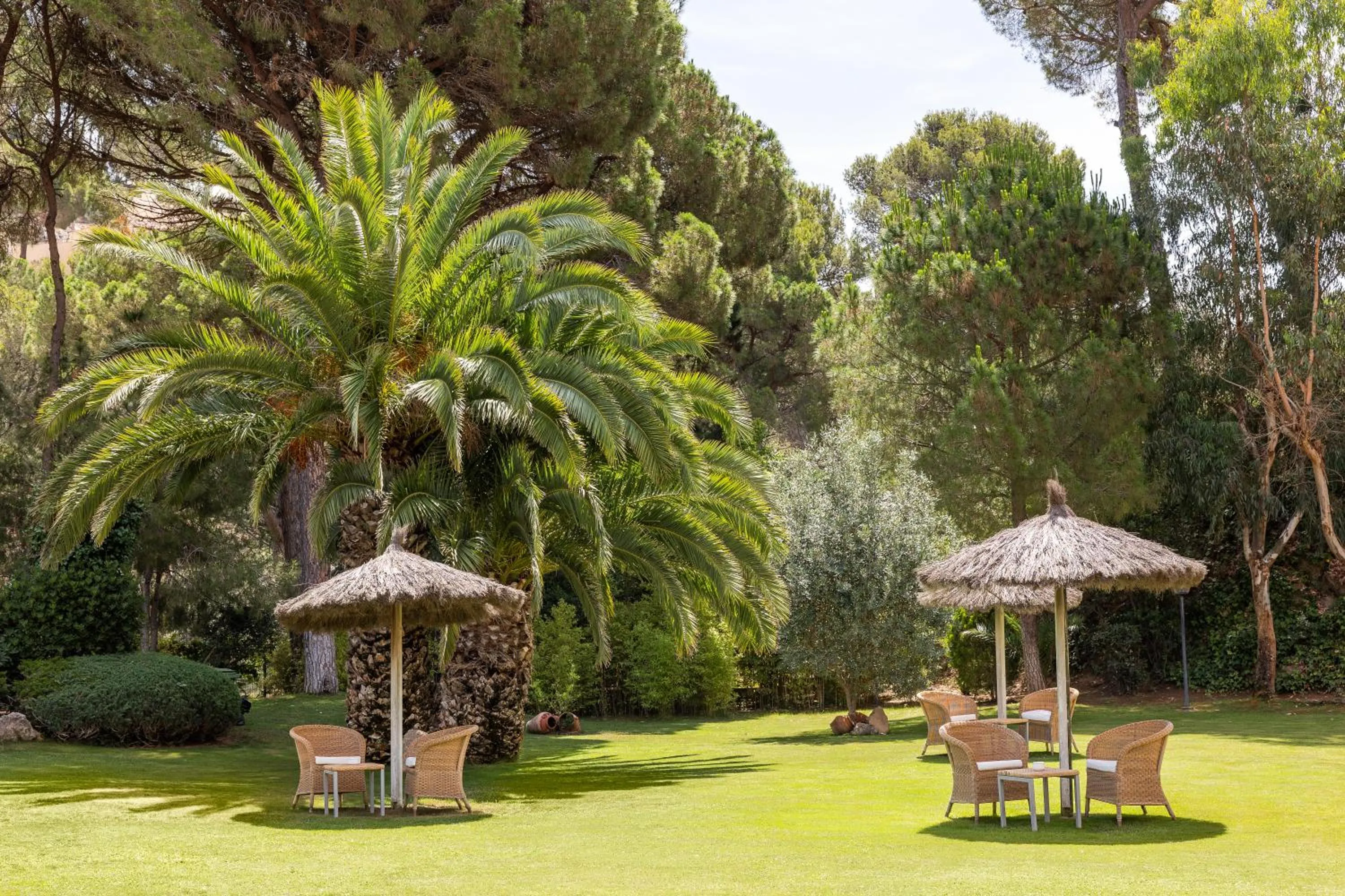 Spring in Hotel Sa Punta - Adults Only fr13