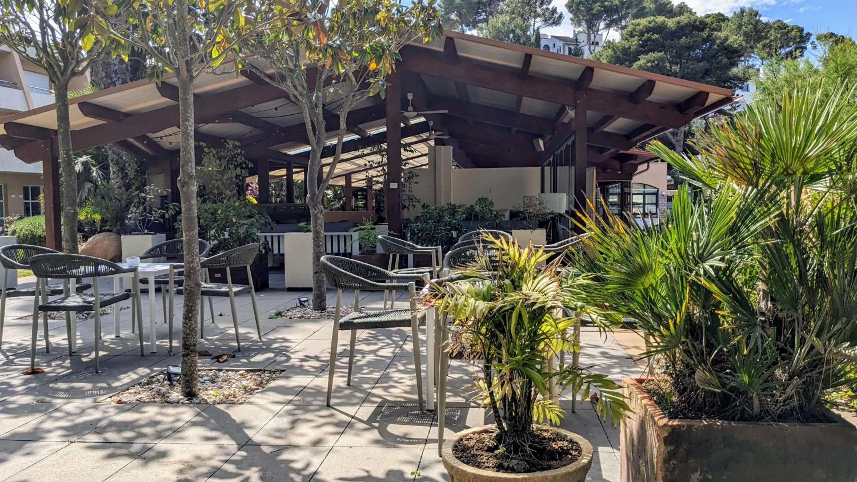 Restaurant/places to eat in Hotel Sa Punta - Adults Only fr13