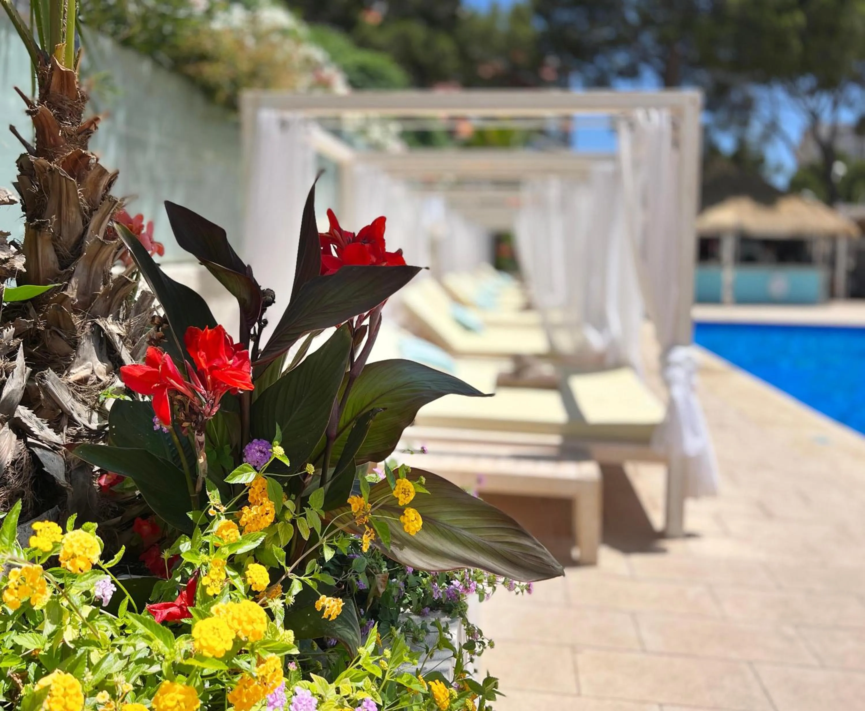 Balcony/Terrace in INN Mallorca Aparthotel
