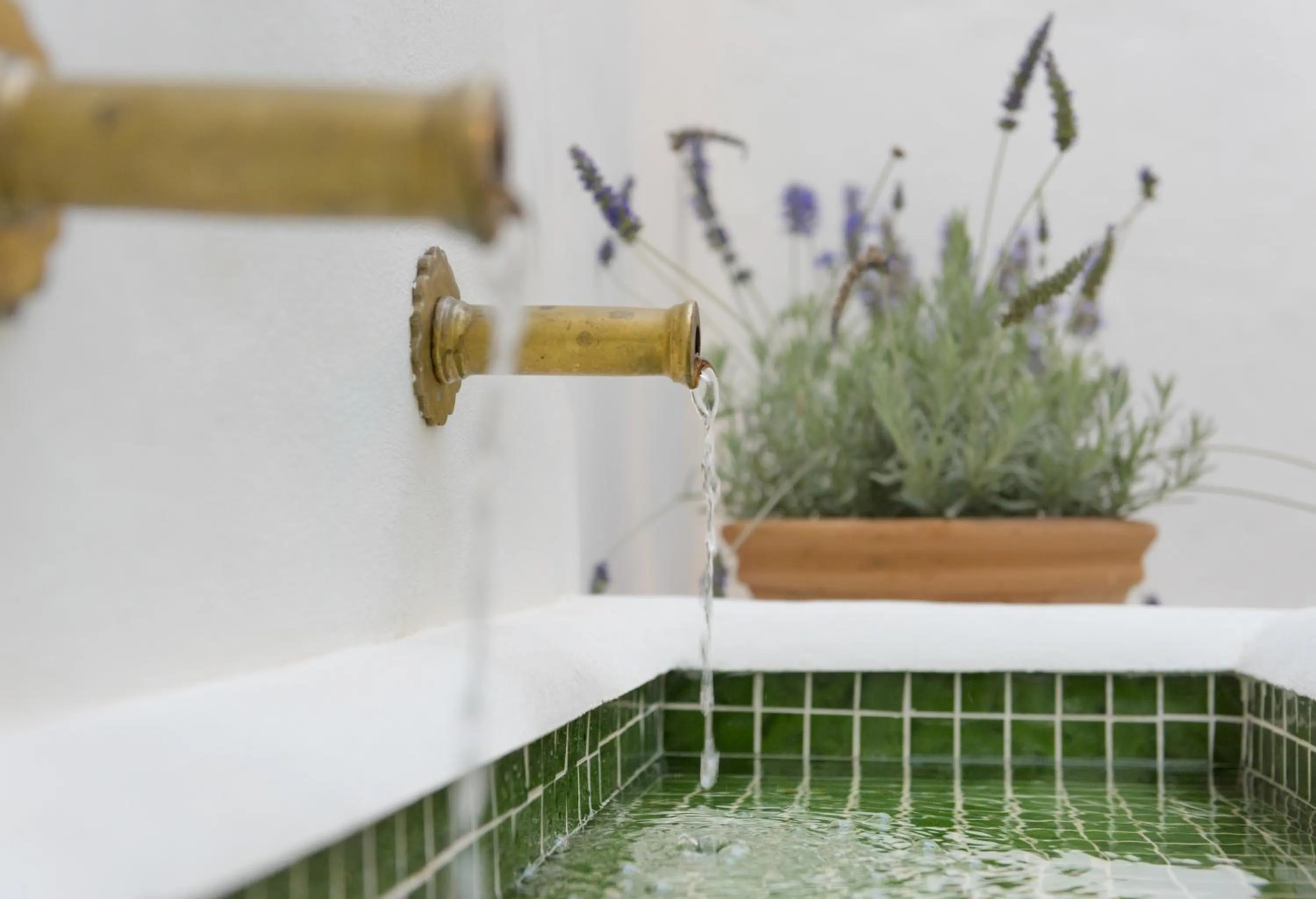 Patio in Casa Shelly Hospedería