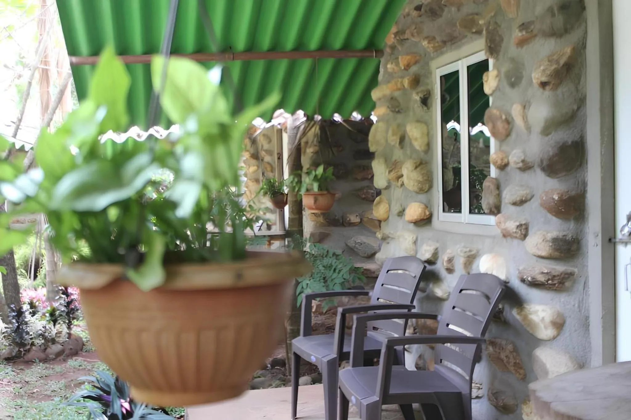 View (from property/room) in Jungle Book Resort