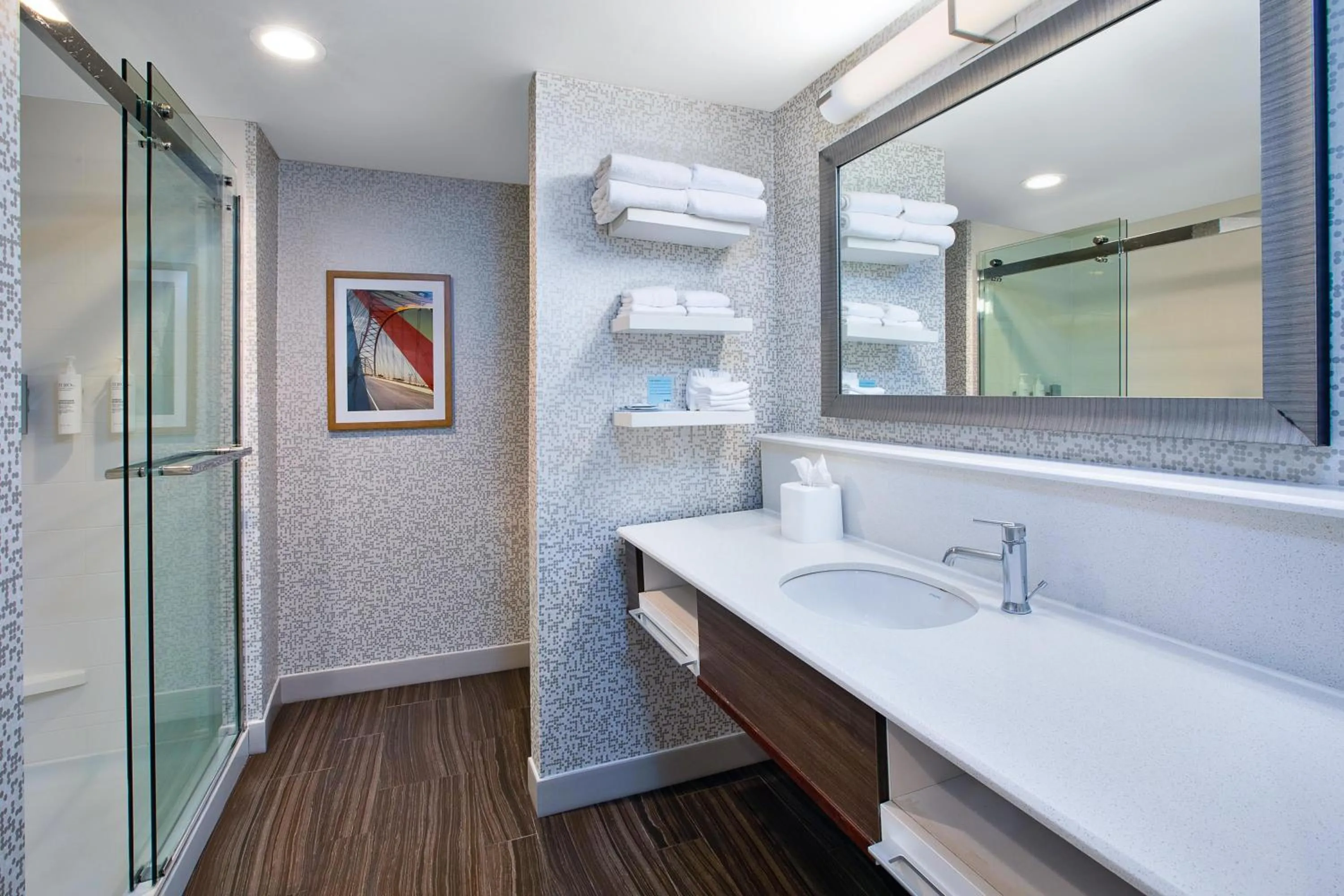 Bathroom in Hampton Inn North Little Rock McCain Mall, AR