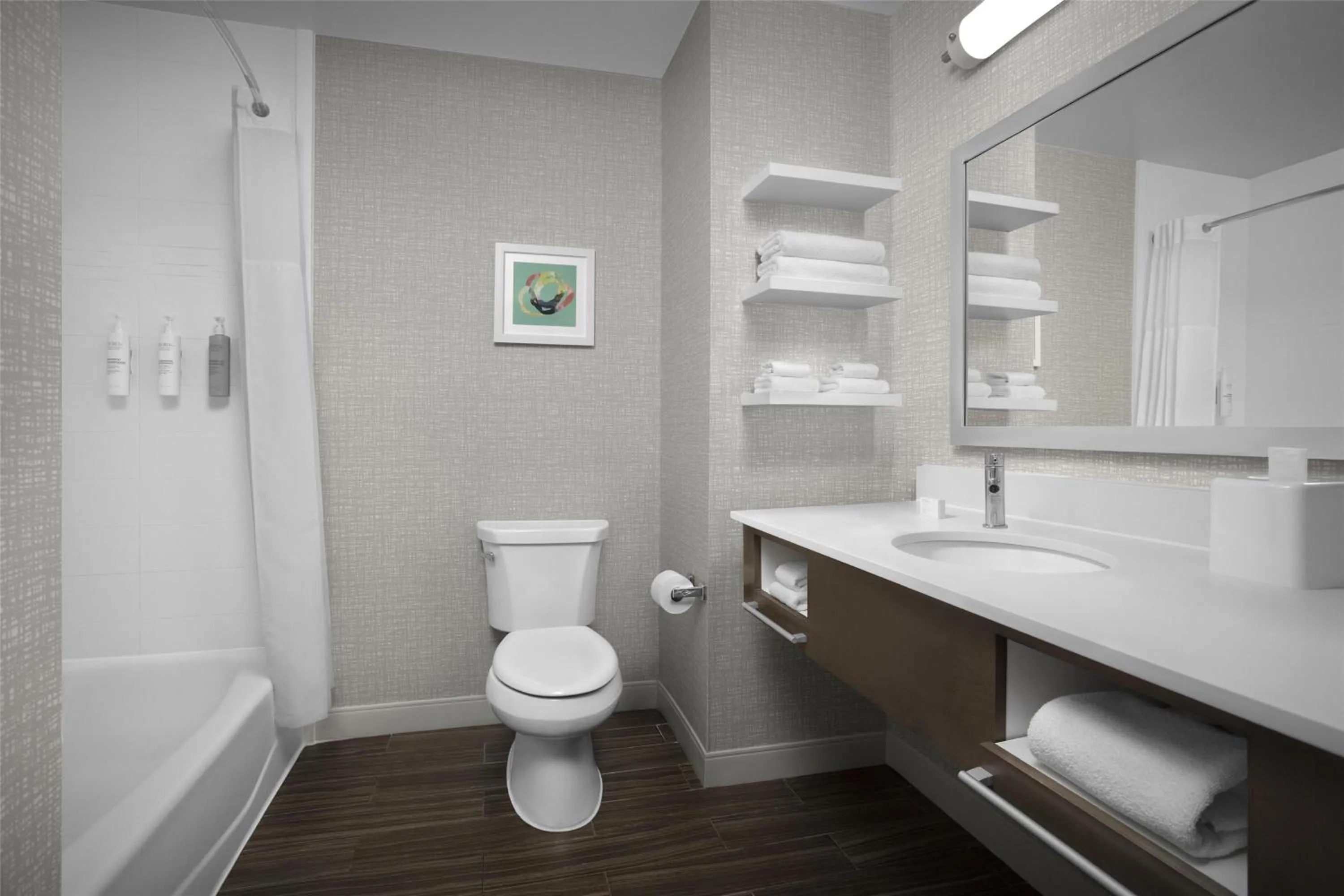 Bathroom in Hampton Inn and Suites Georgetown/Austin North, TX