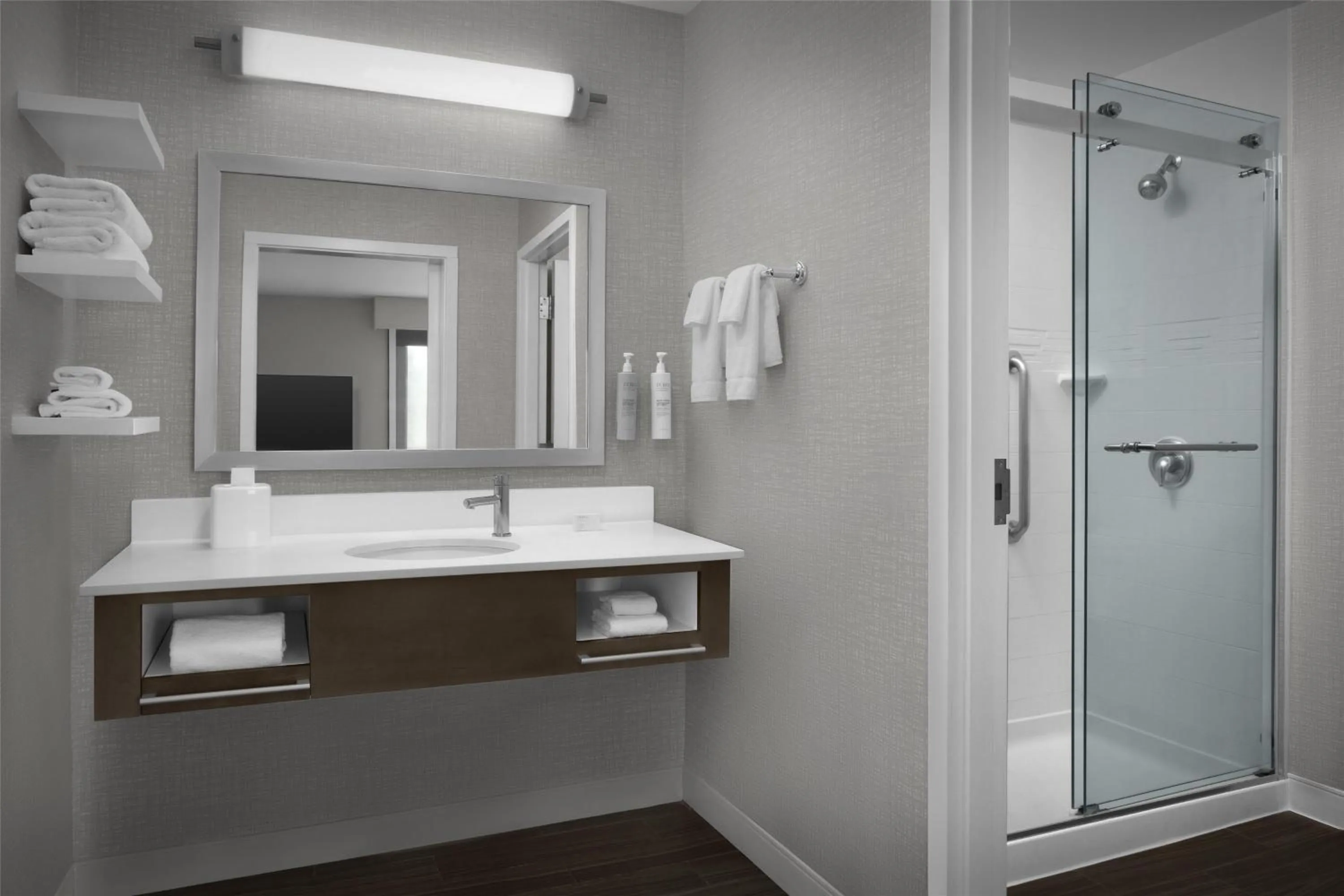 Bathroom in Hampton Inn and Suites Georgetown/Austin North, TX