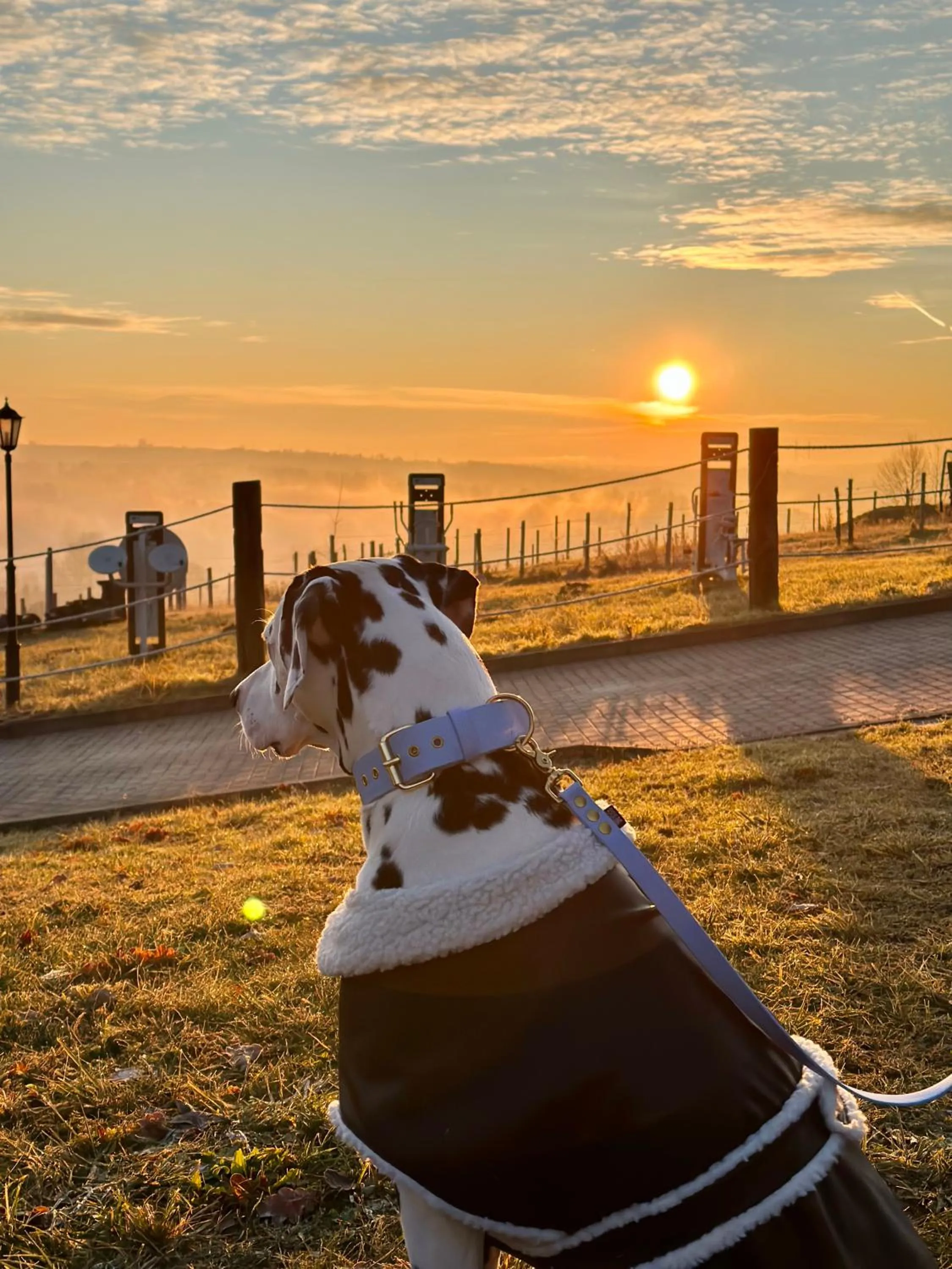 Nearby landmark in Hotel Szary Residence