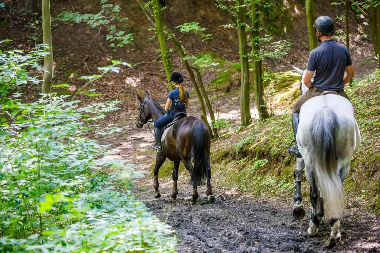 Neighbourhood in Hotel Szary Residence