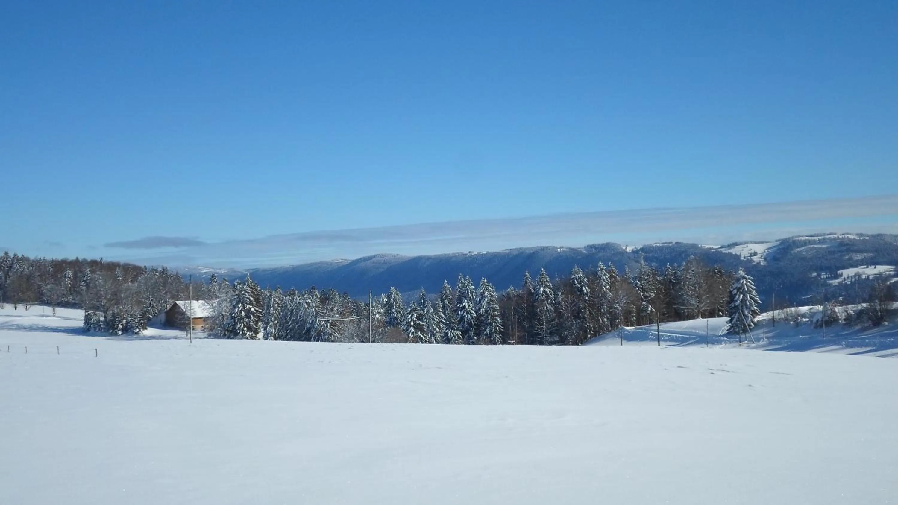 Natural landscape in L'Union B&B - Chambres d'hôtes