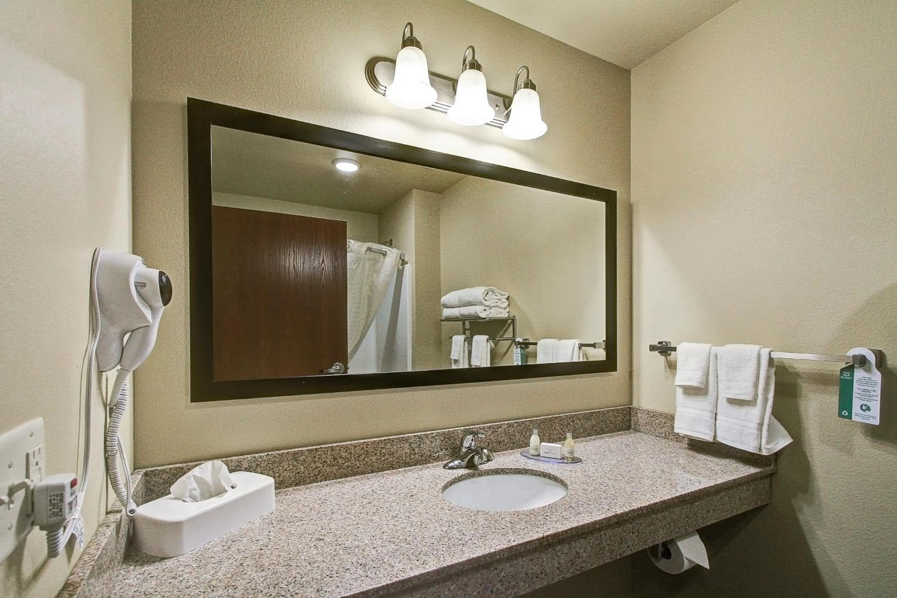 Bathroom in Cobblestone Hotel & Suites Pulaski/Green Bay